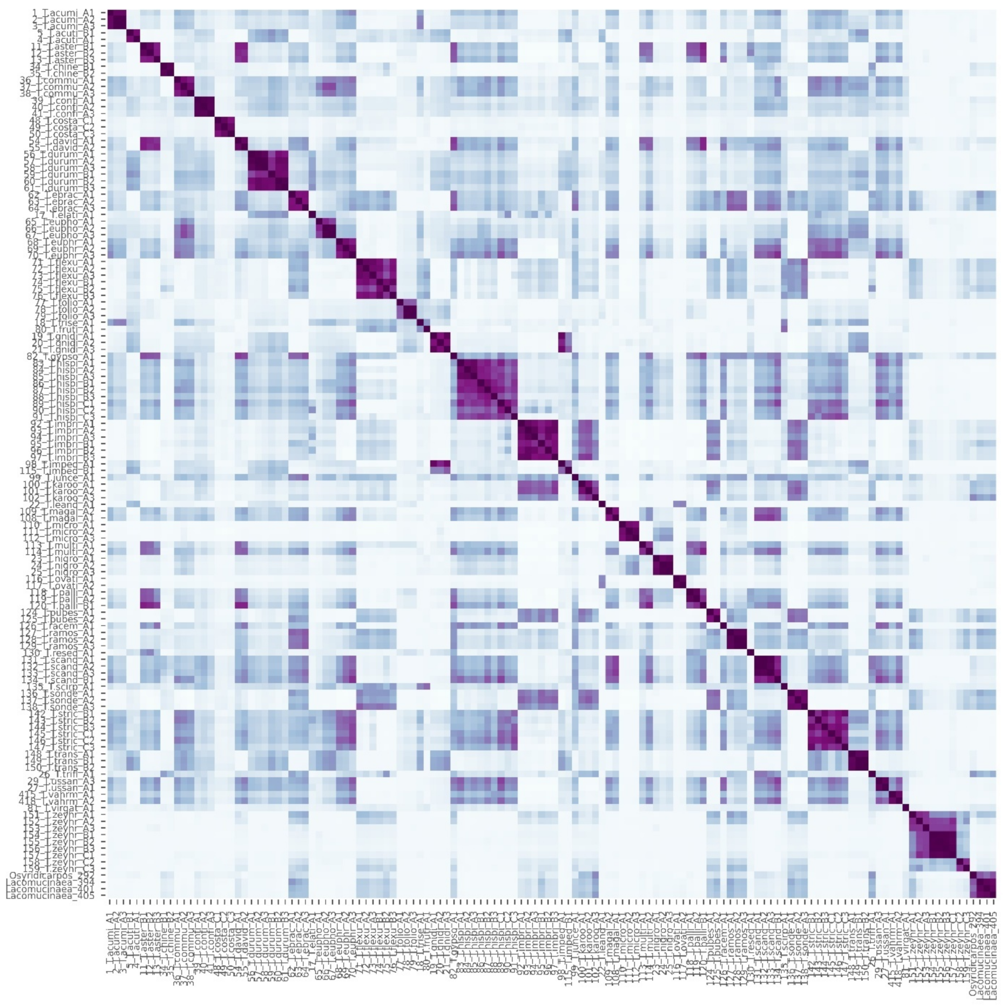 Diversity 14 00590 g004