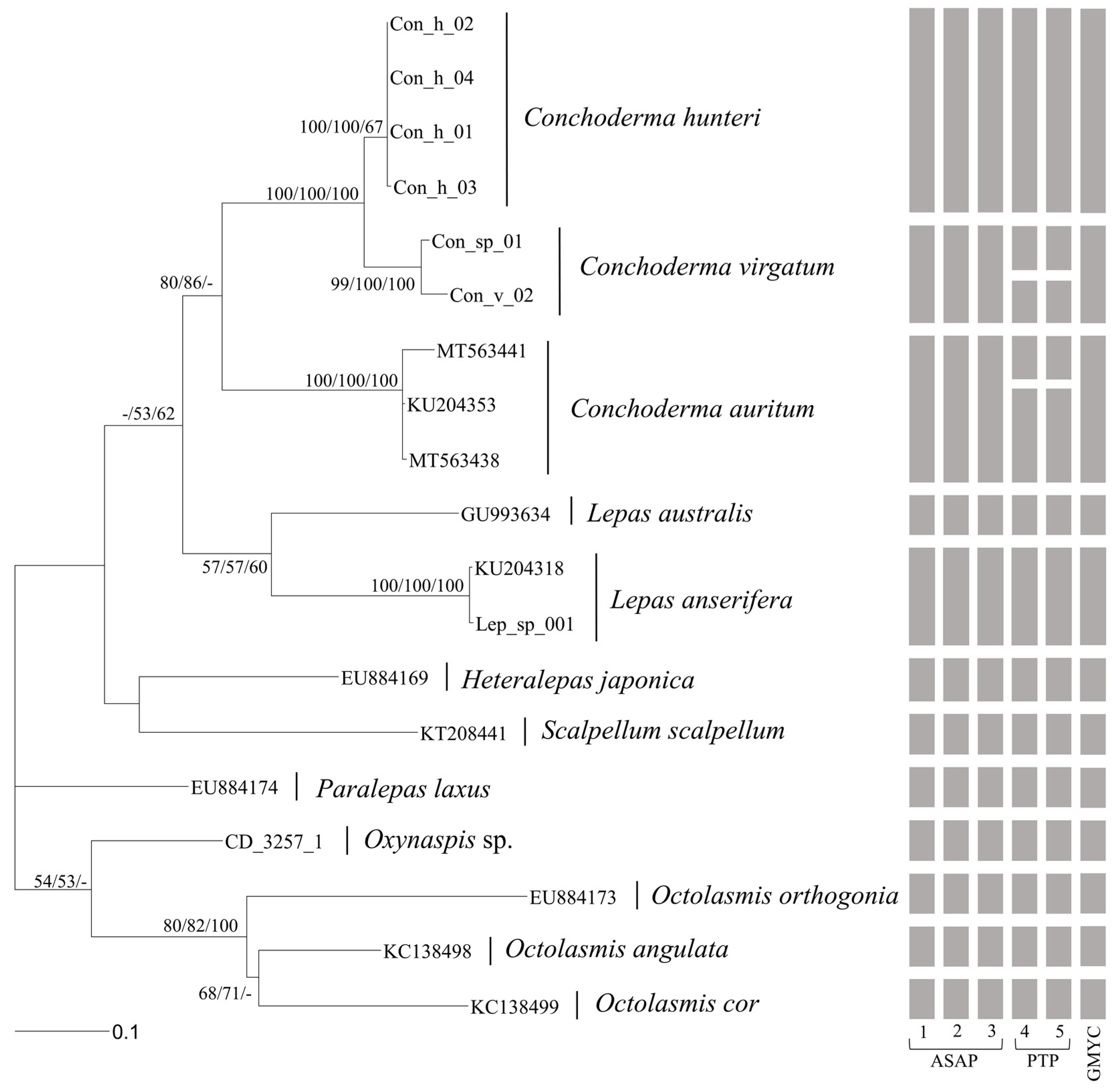 Diversity 14 00593 g013 Diversity 14 00593 g013