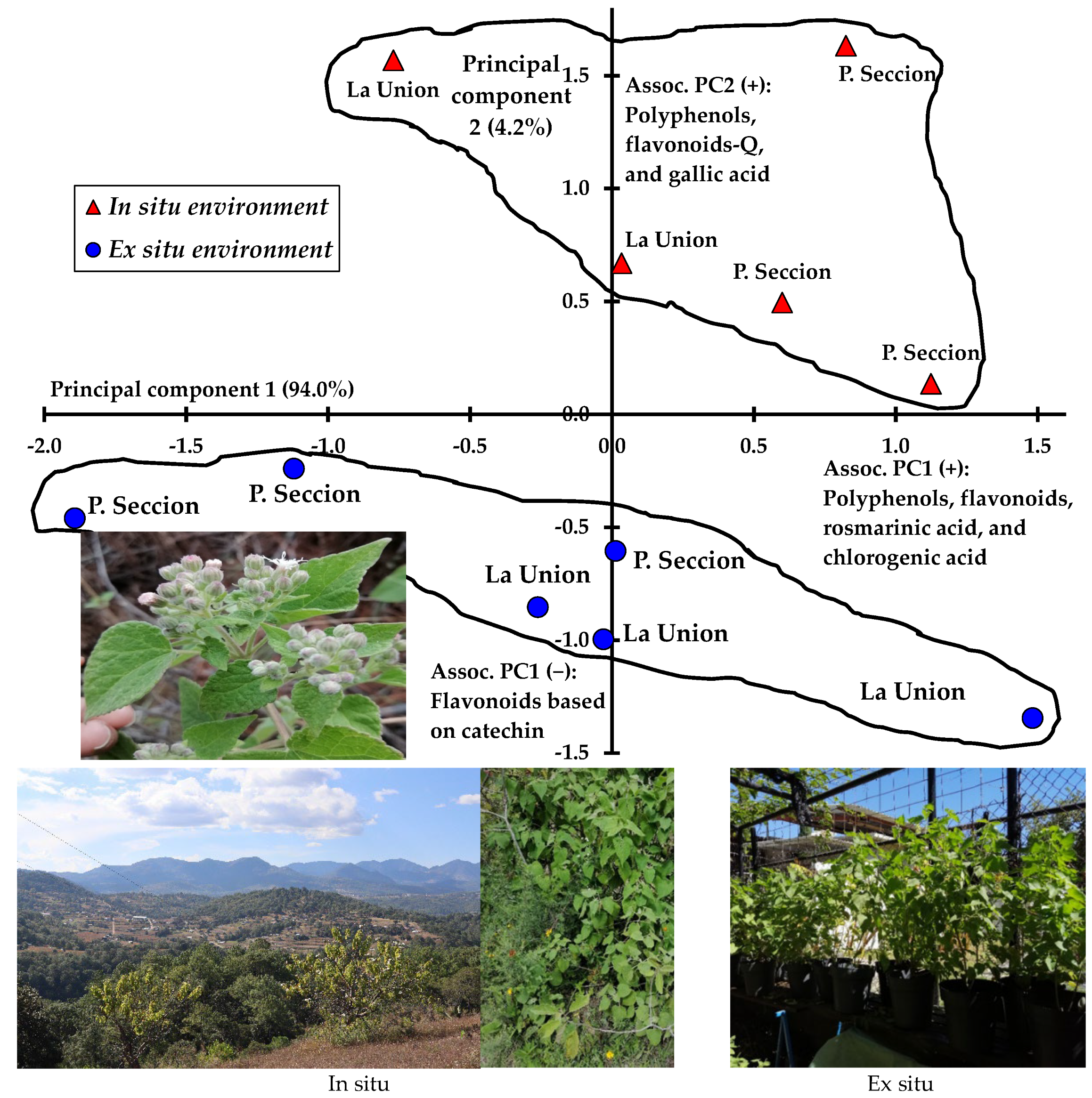 Diversity 14 00595 g002