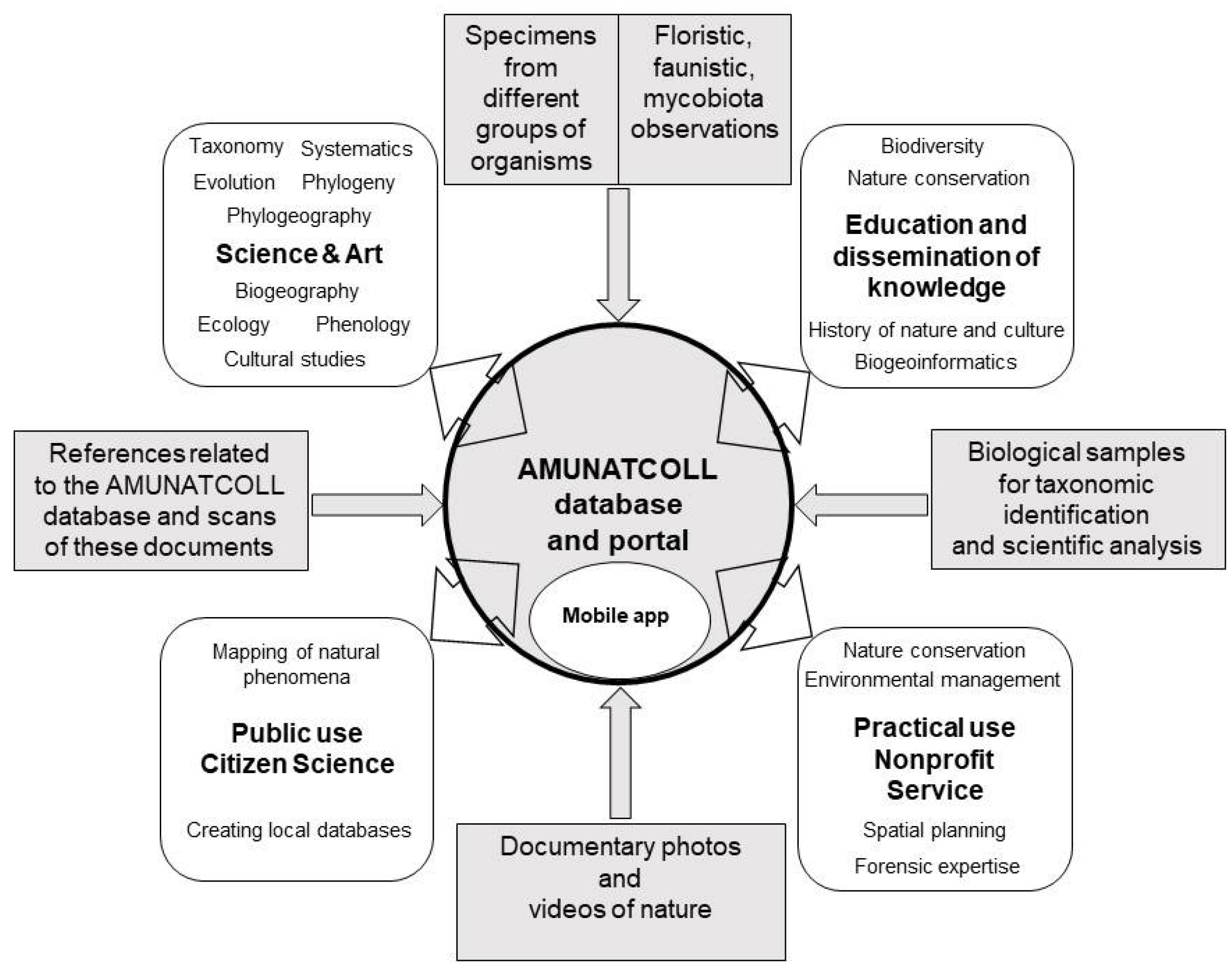 Diversity 14 00596 g002