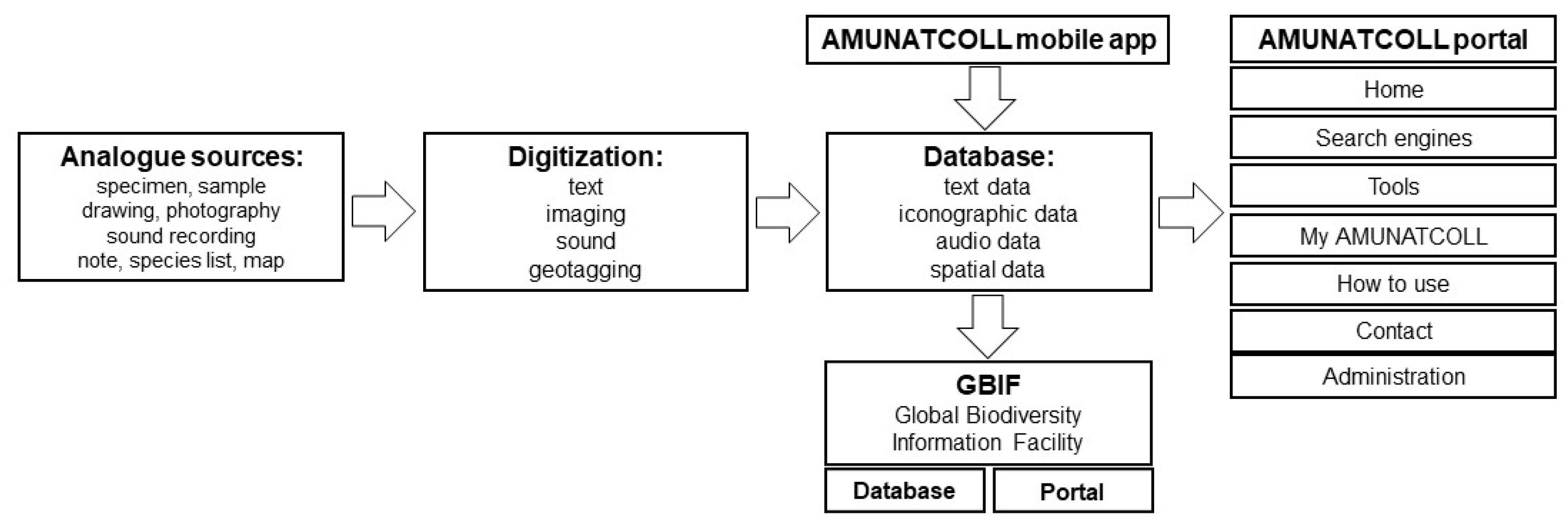 Diversity 14 00596 g003