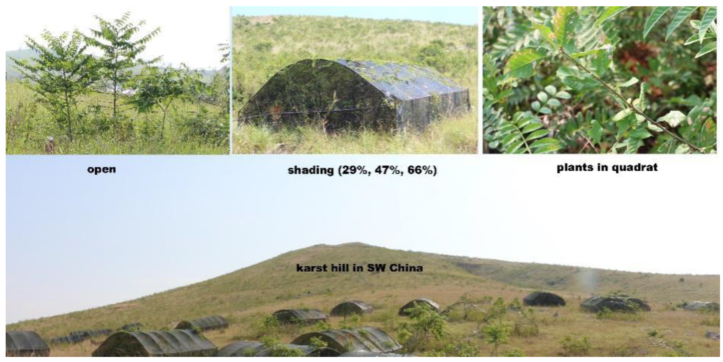 Diversity 14 00600 g001