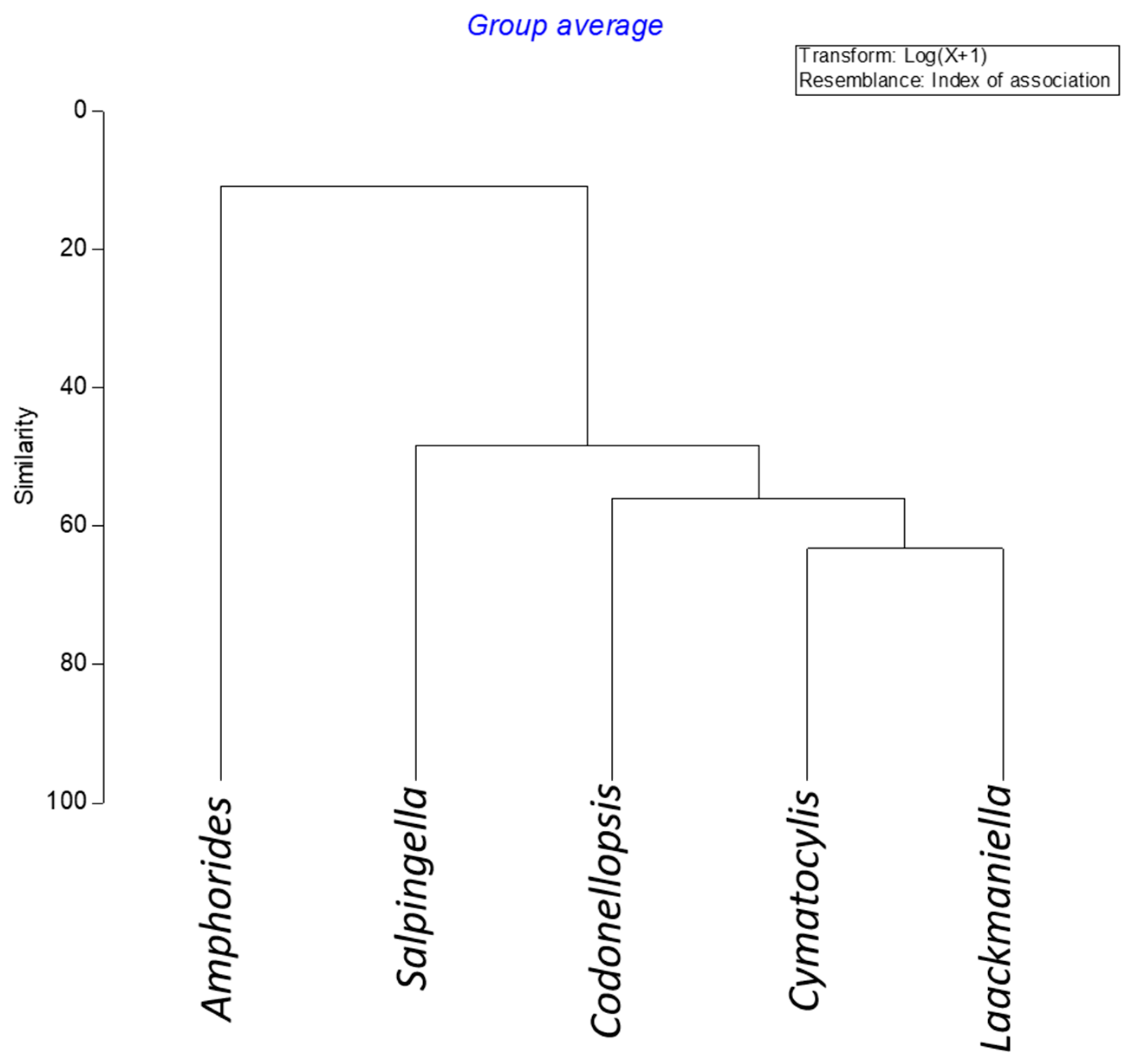 Diversity 14 00604 g007