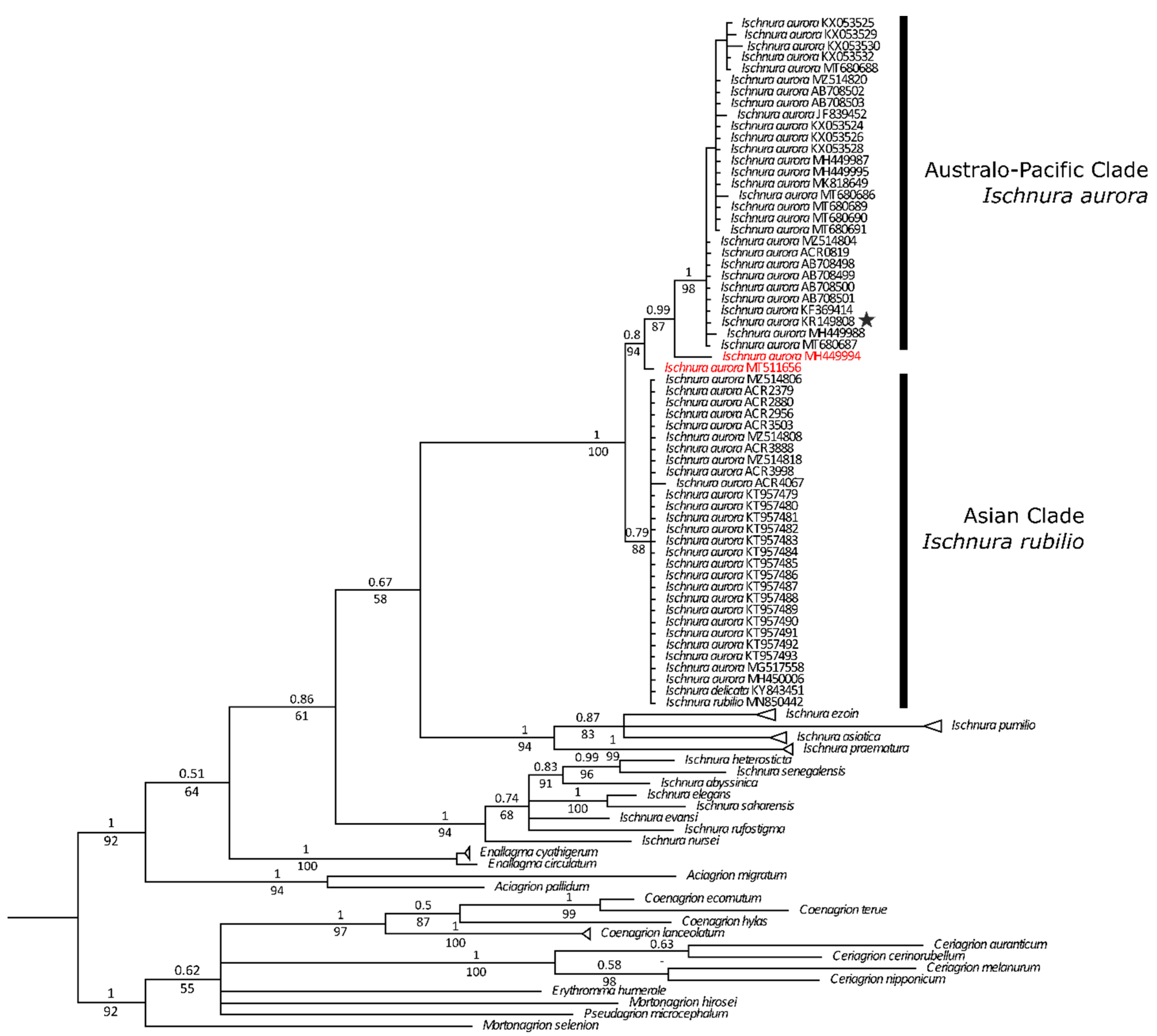 Diversity 14 00606 g002