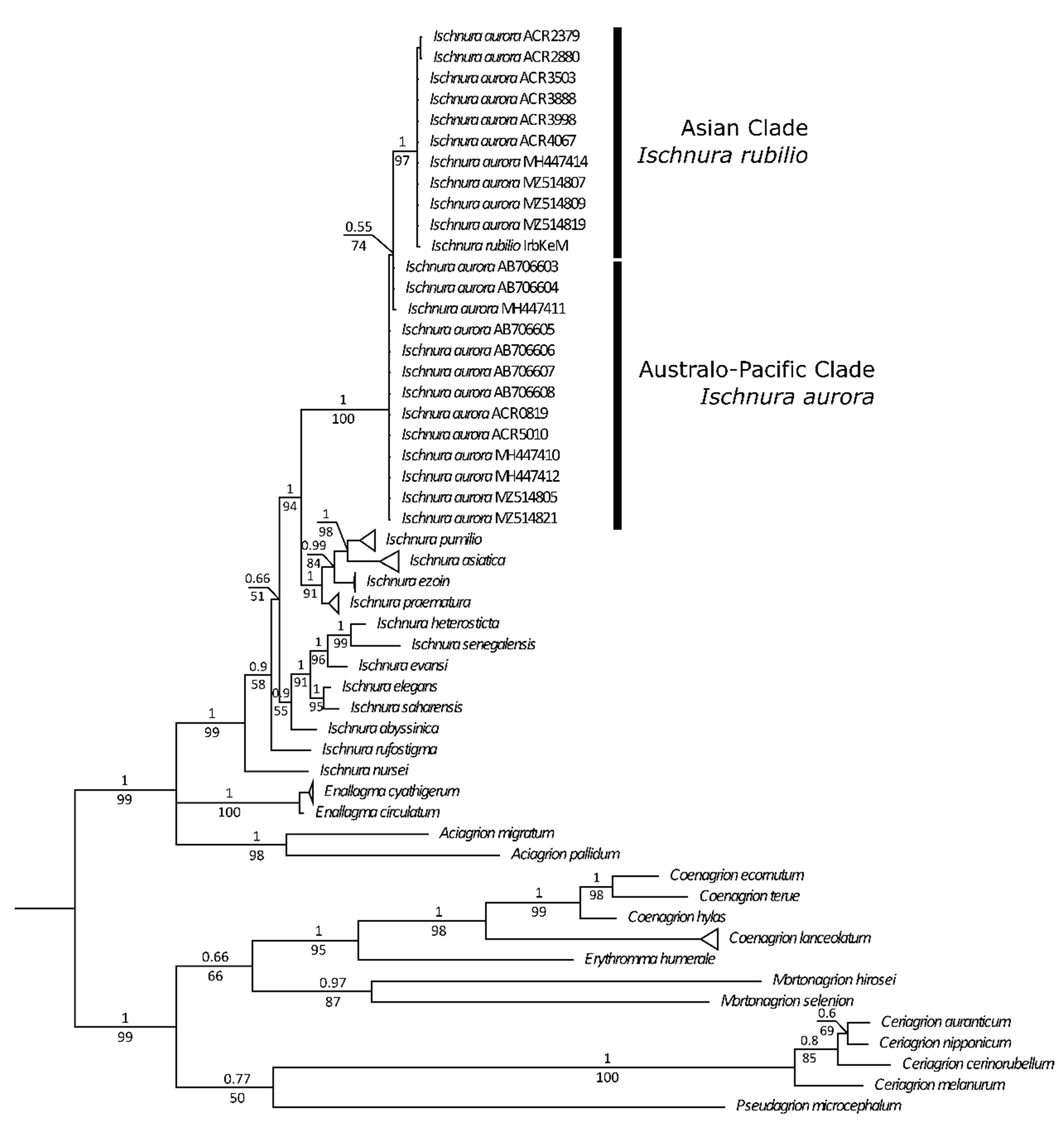 Diversity 14 00606 g003