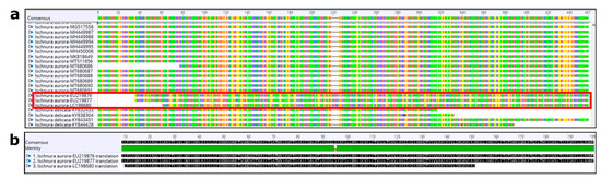 Diversity 14 00606 g0a2