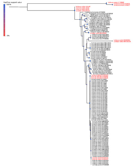 Diversity 14 00606 g0a3