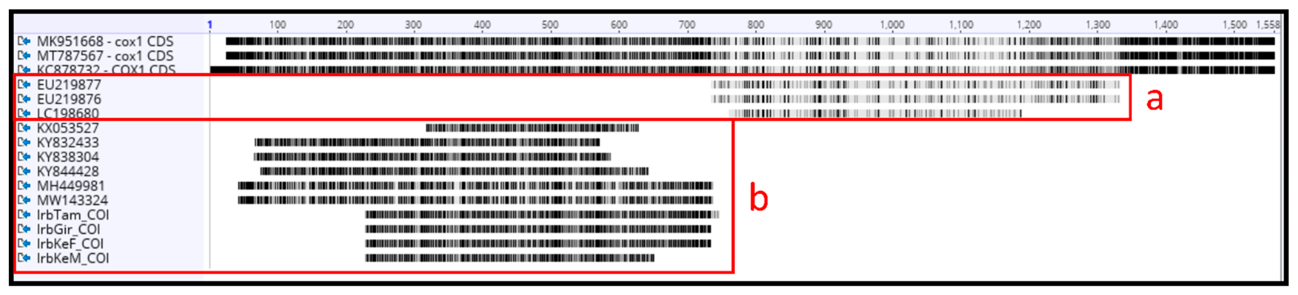 Diversity 14 00606 g0a4