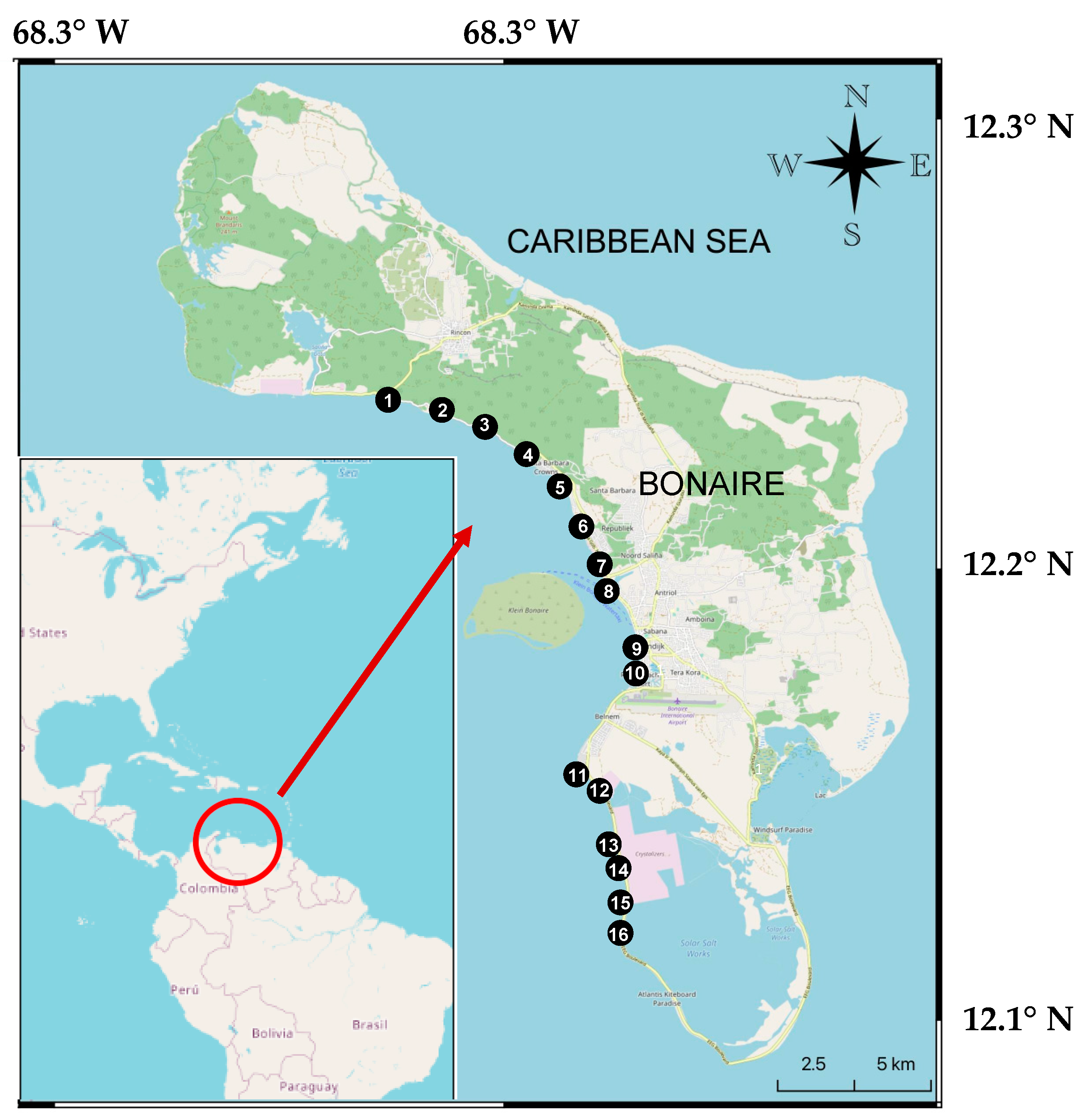 Diversity 14 00607 g002