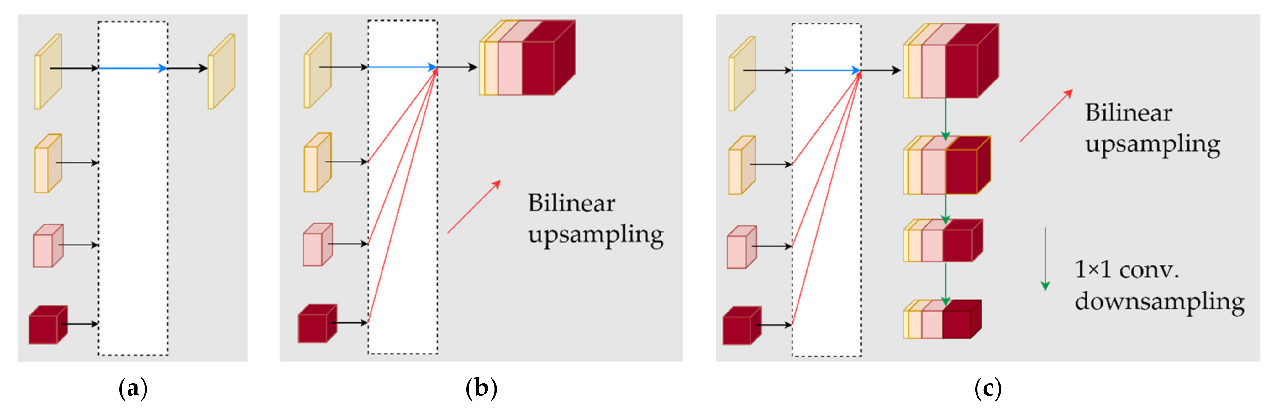 Diversity 14 00624 g005