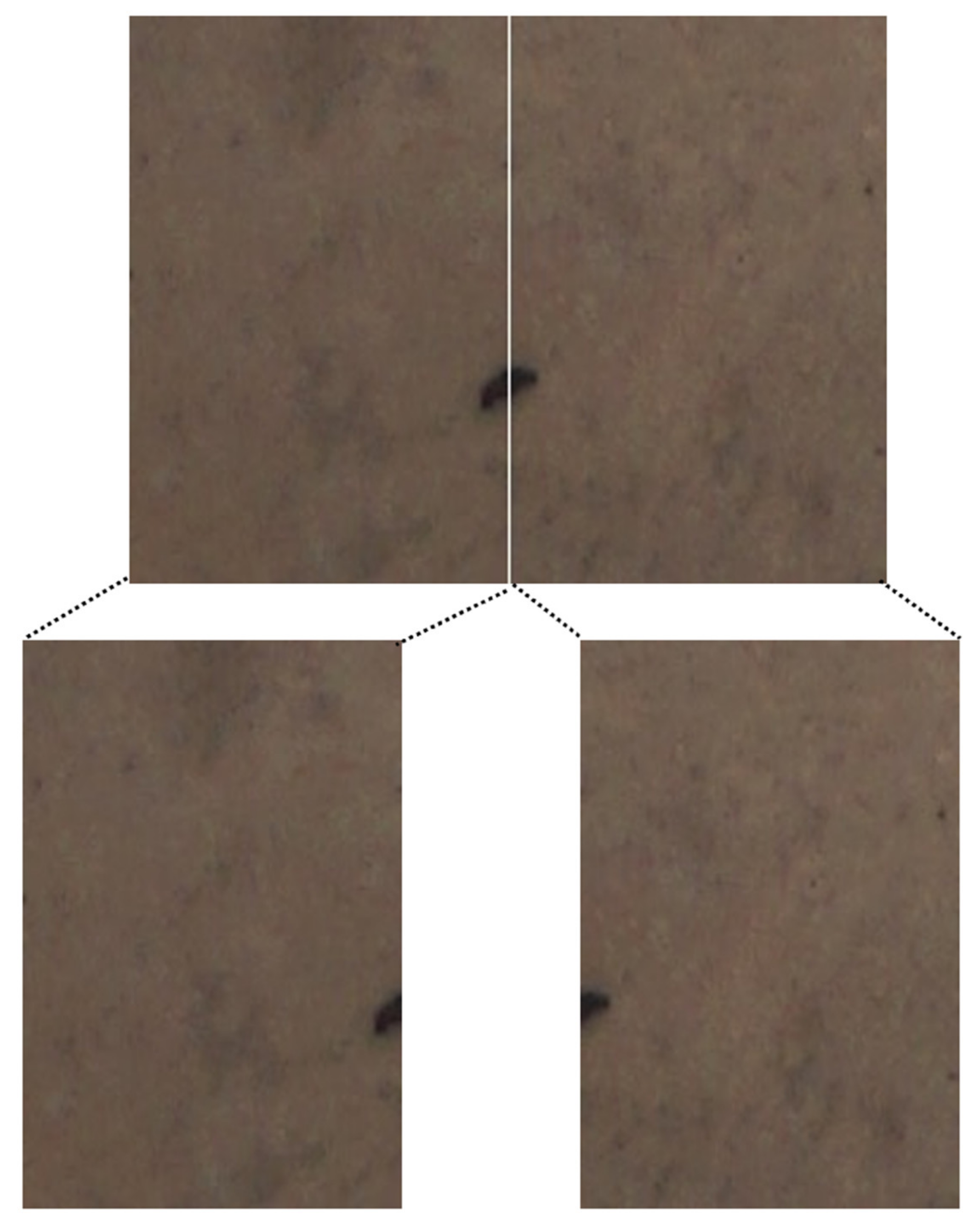 Diversity 14 00624 g009