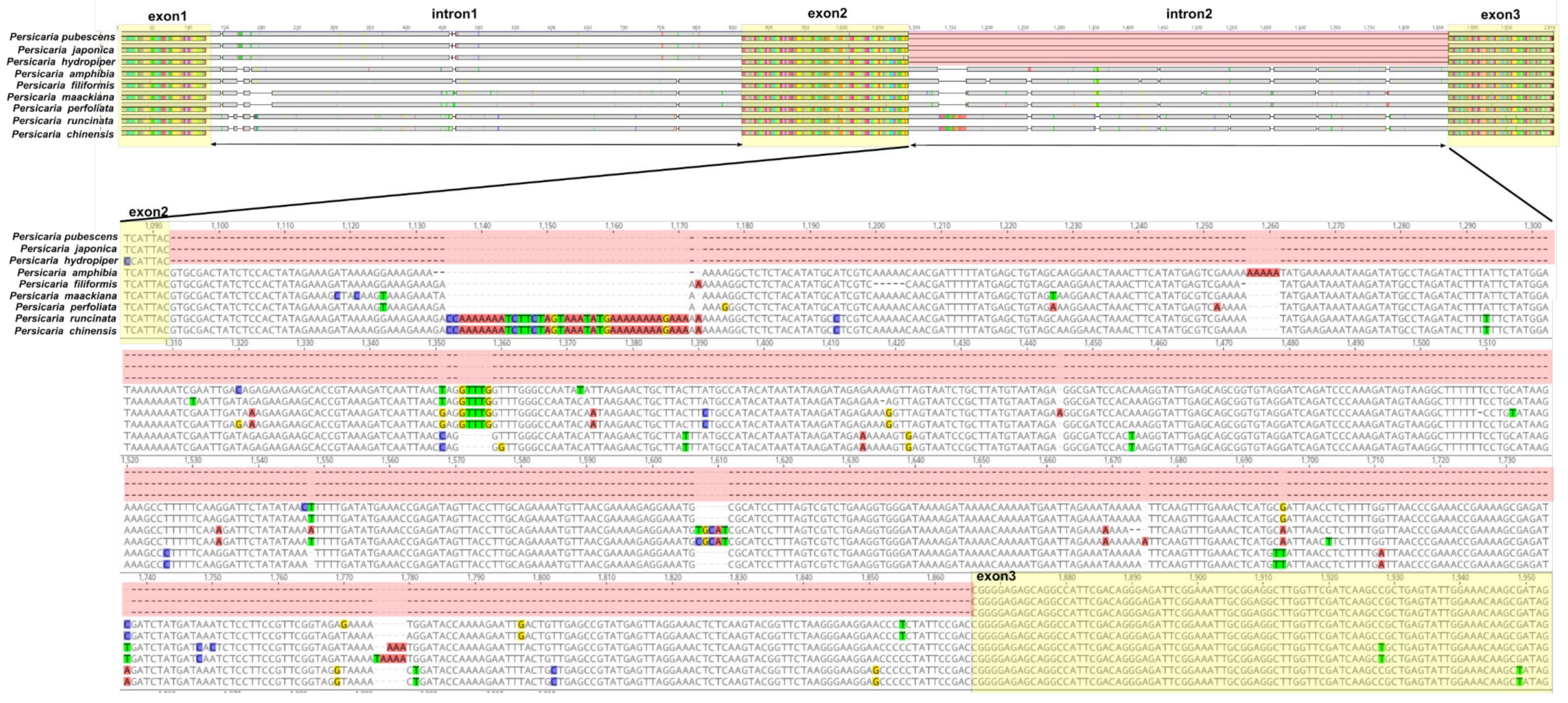 Diversity 14 00641 g002