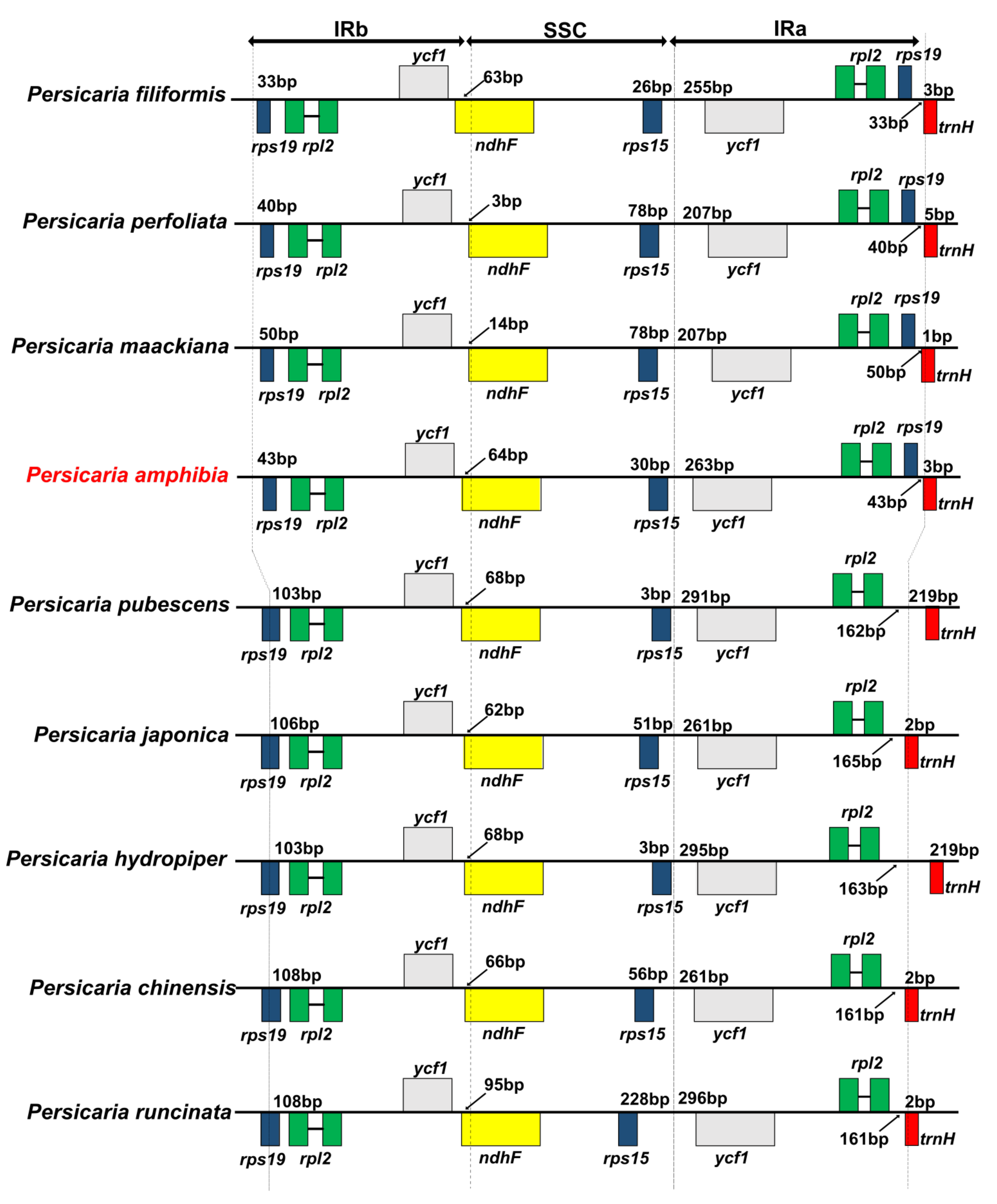 Diversity 14 00641 g003
