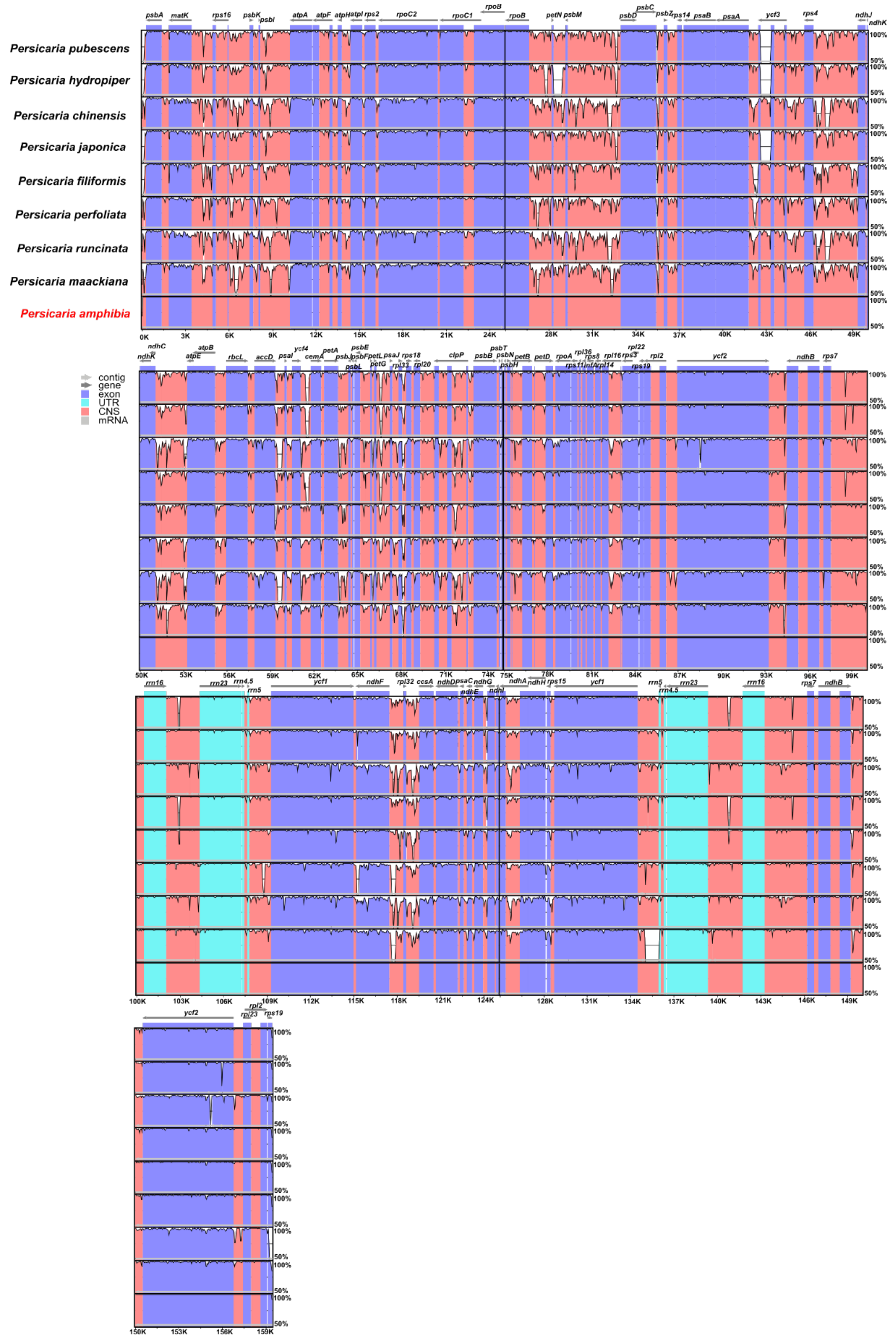 Diversity 14 00641 g005