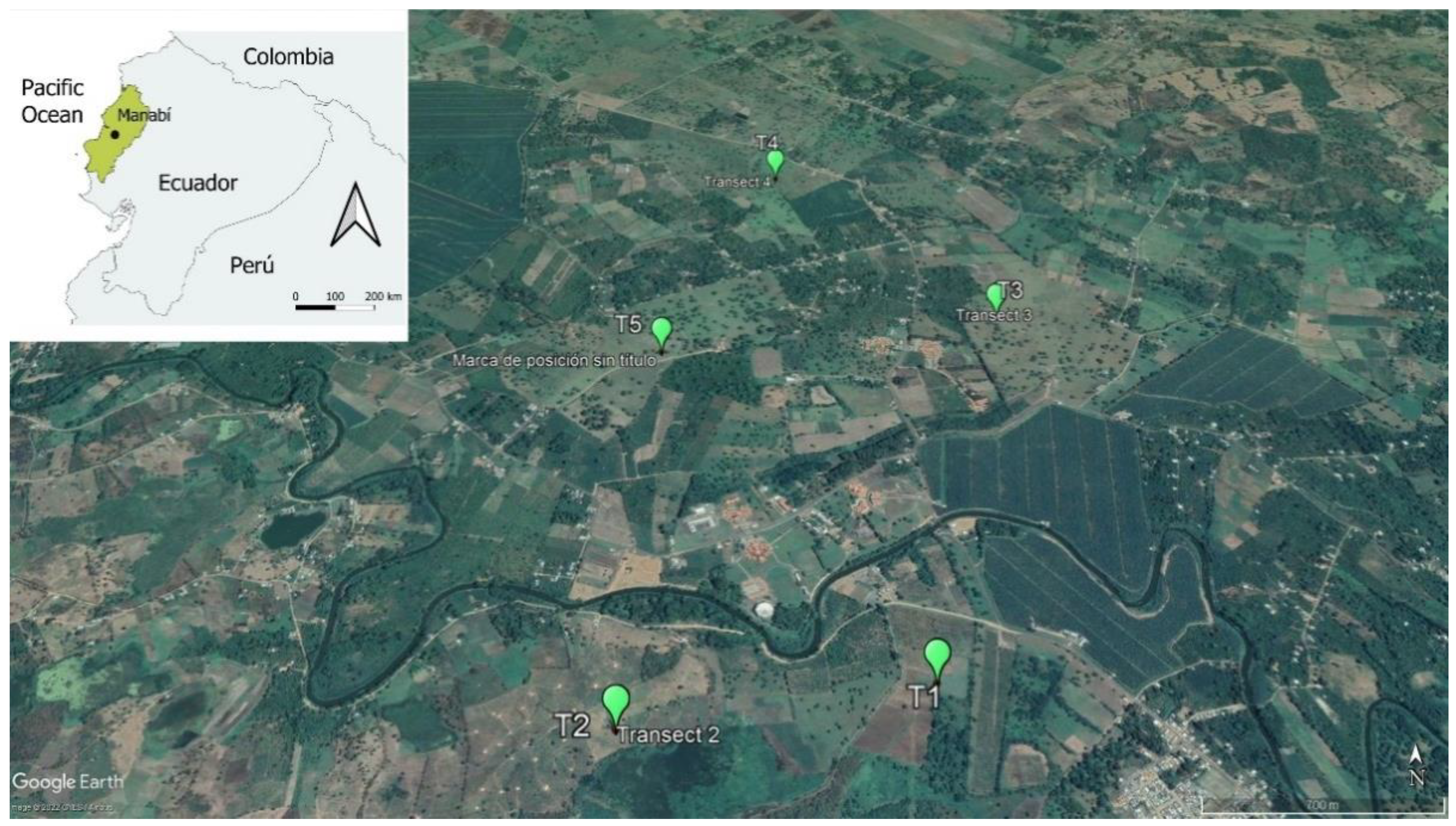 Diversity 14 00662 g001