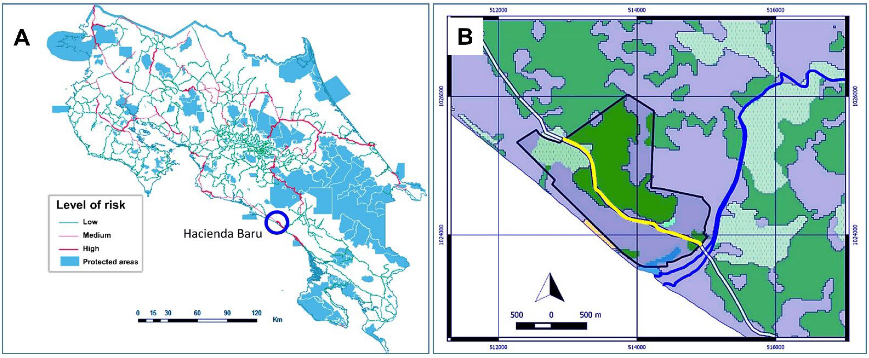 Diversity 14 00665 g001 Diversity 14 00665 g001