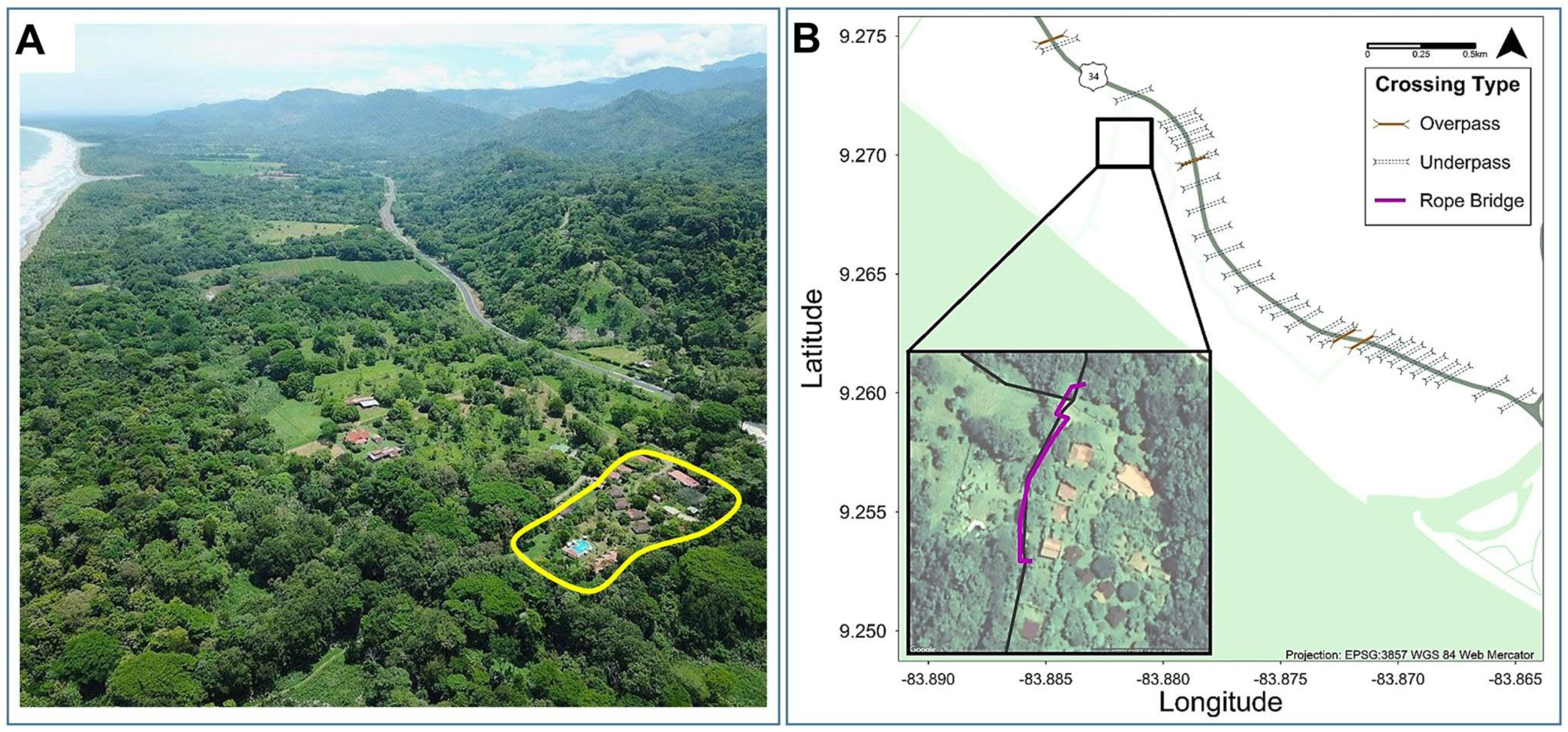 Diversity 14 00665 g002 Diversity 14 00665 g002