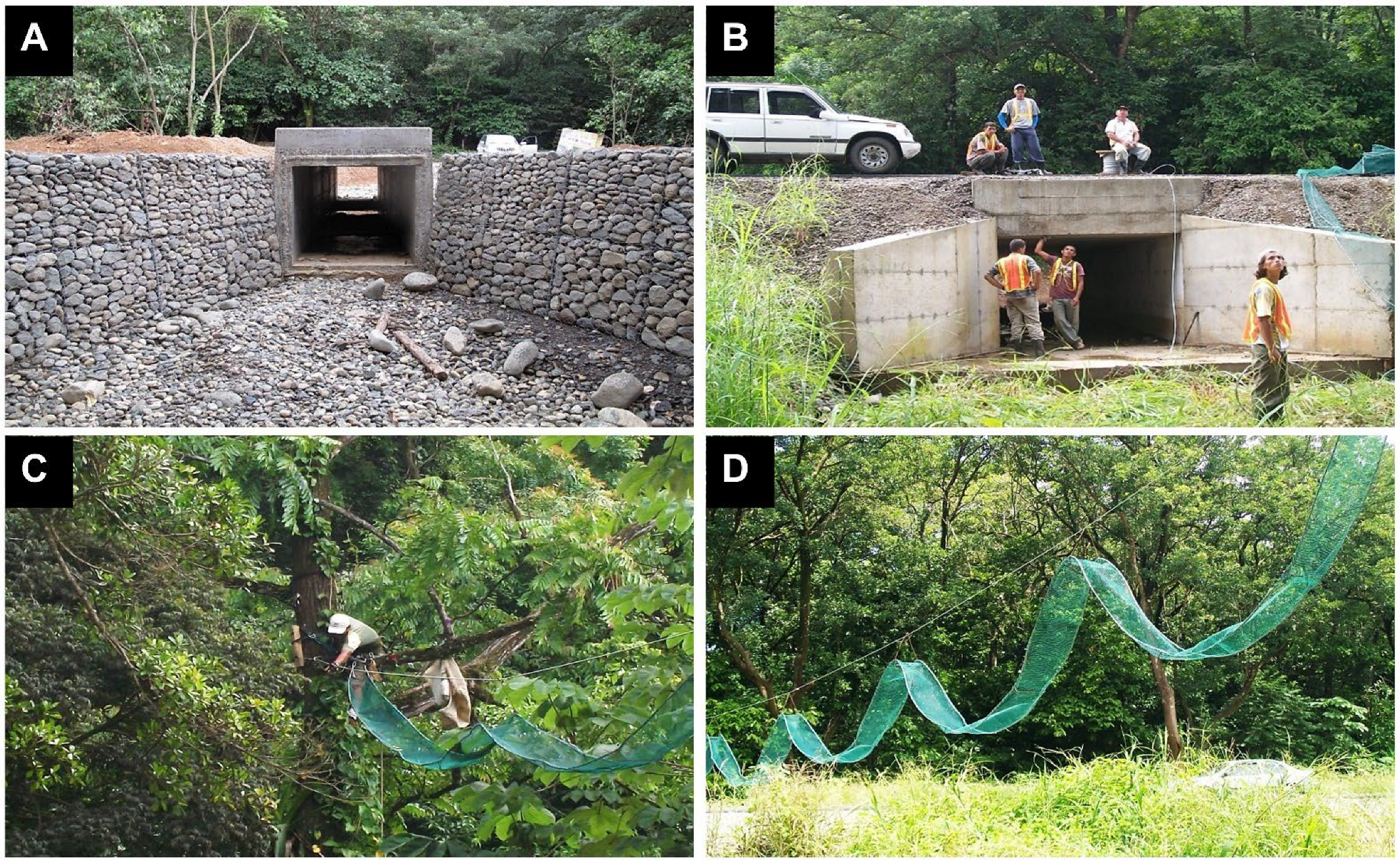 Diversity 14 00665 g003 Diversity 14 00665 g003