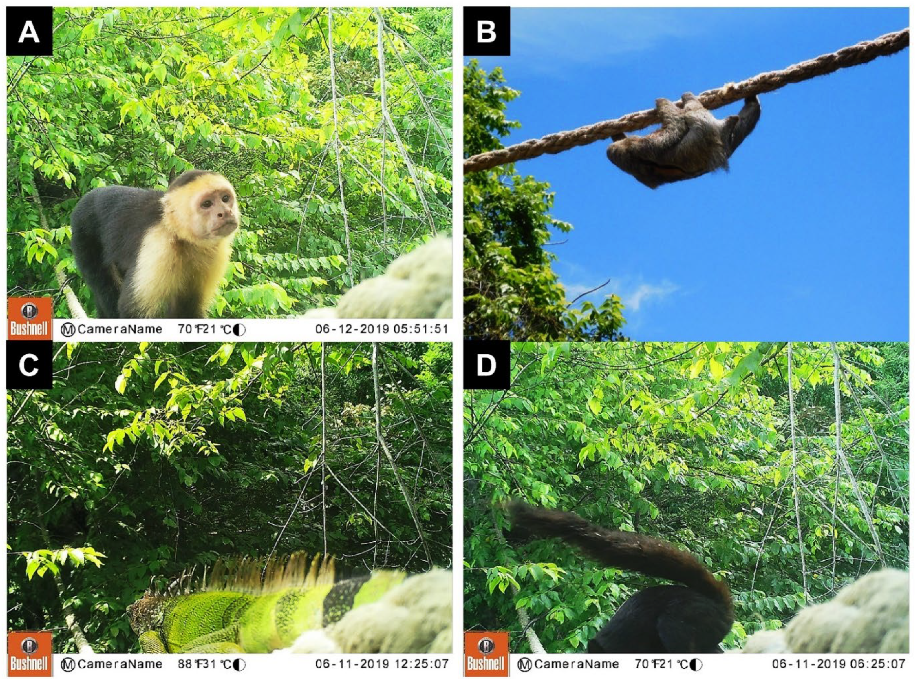 Diversity 14 00665 g008 Diversity 14 00665 g008