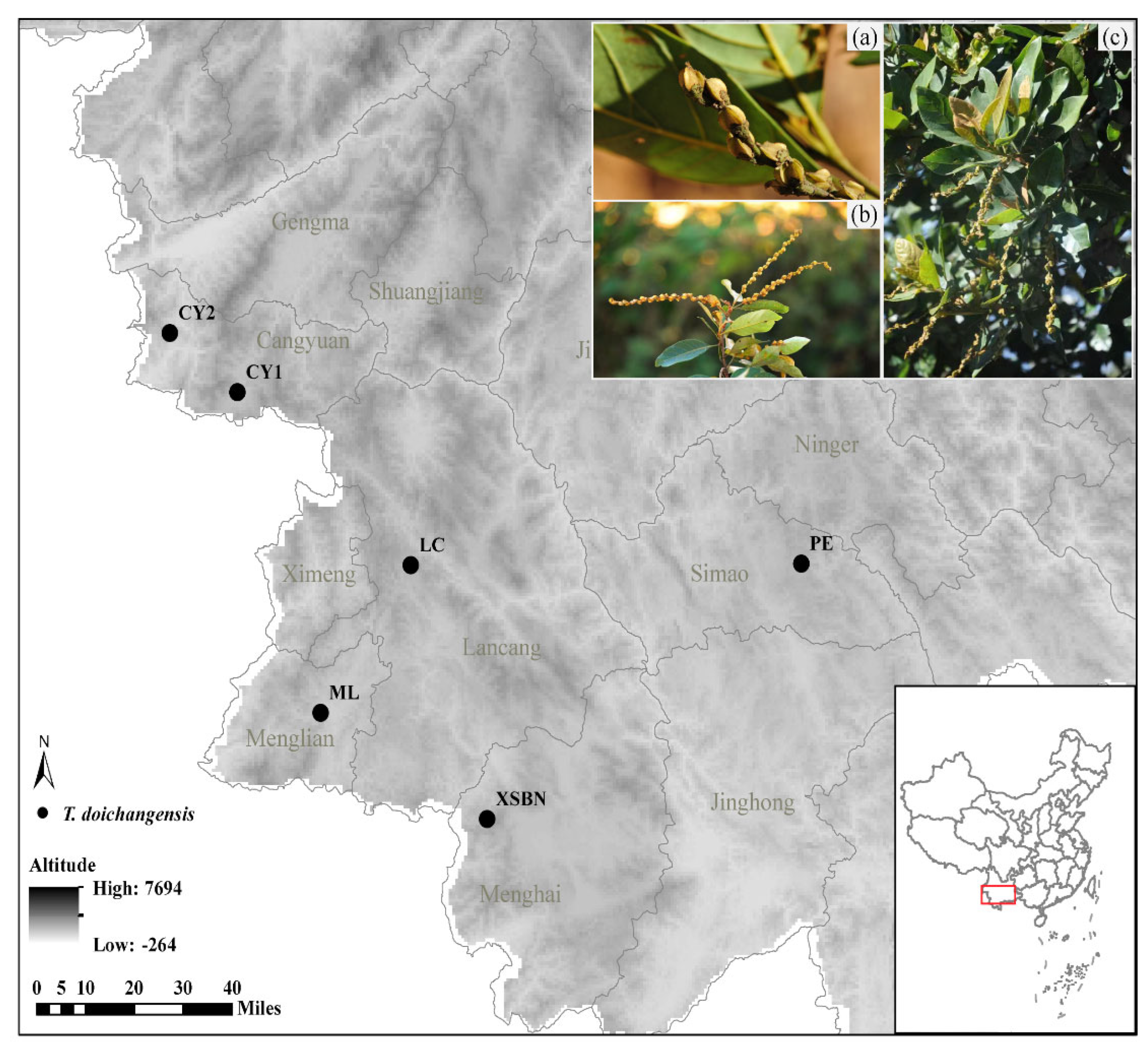 Diversity 14 00666 g001