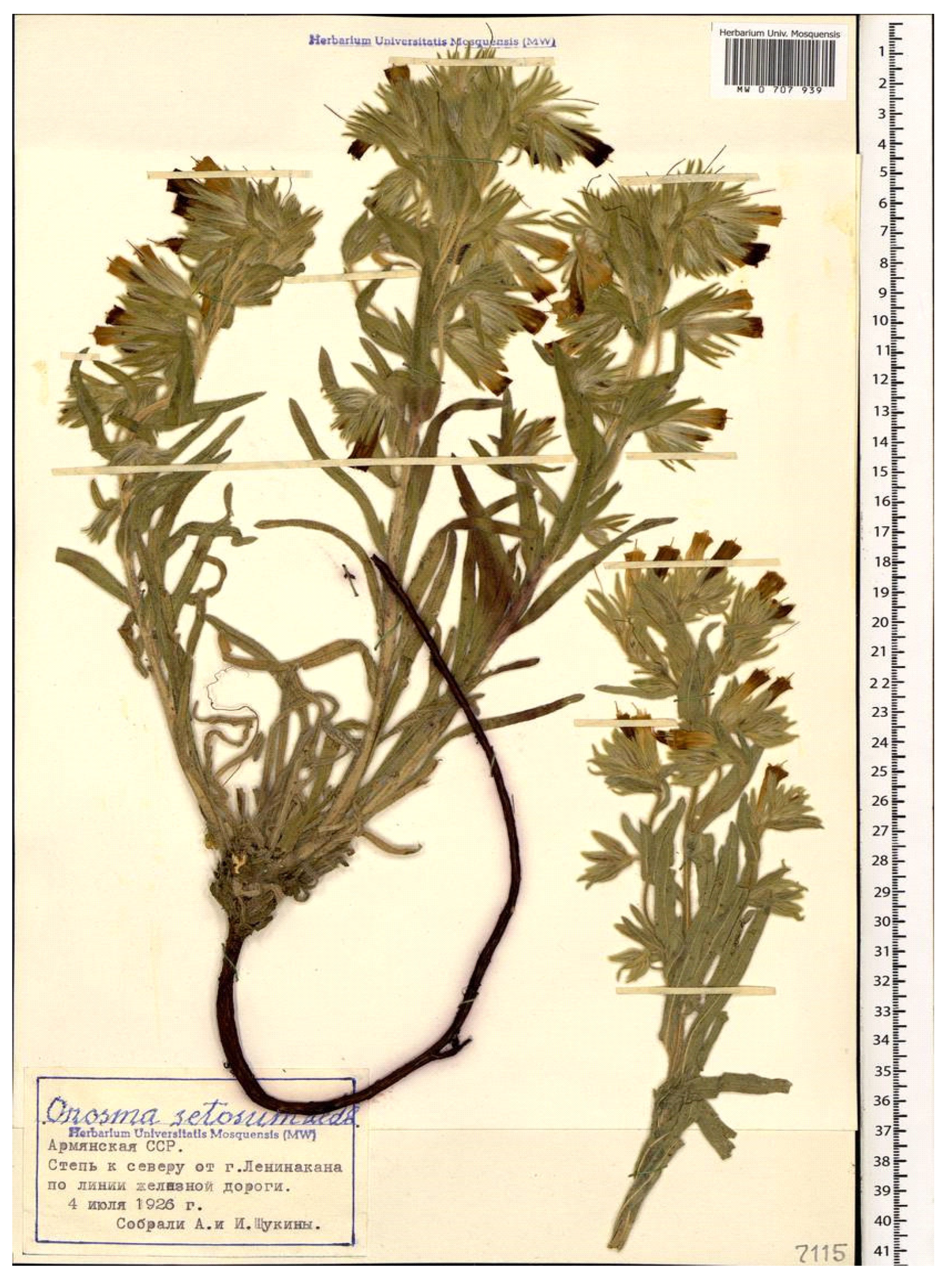 Diversity 14 00671 g001