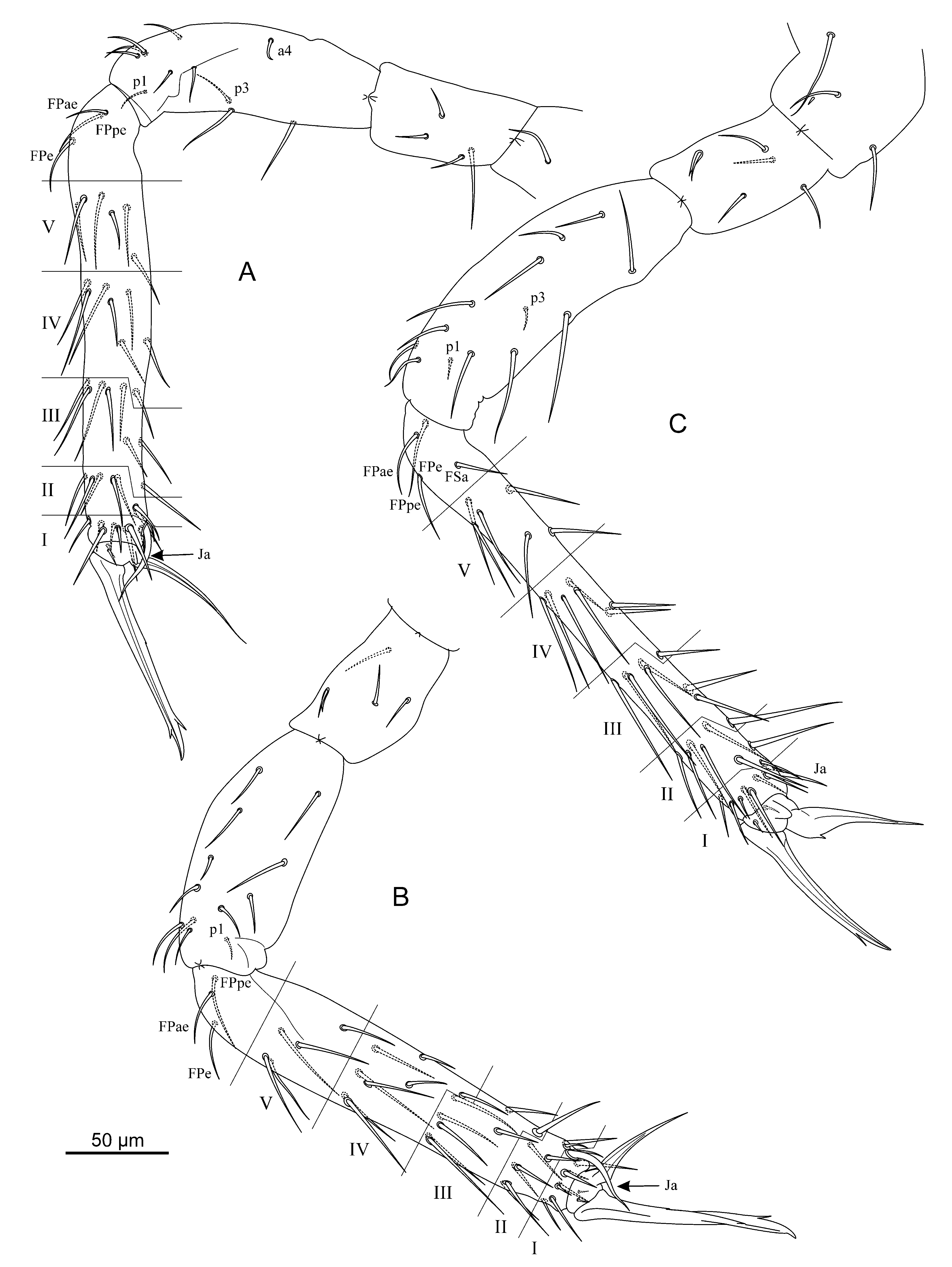 Diversity 14 00678 g003 Diversity 14 00678 g003