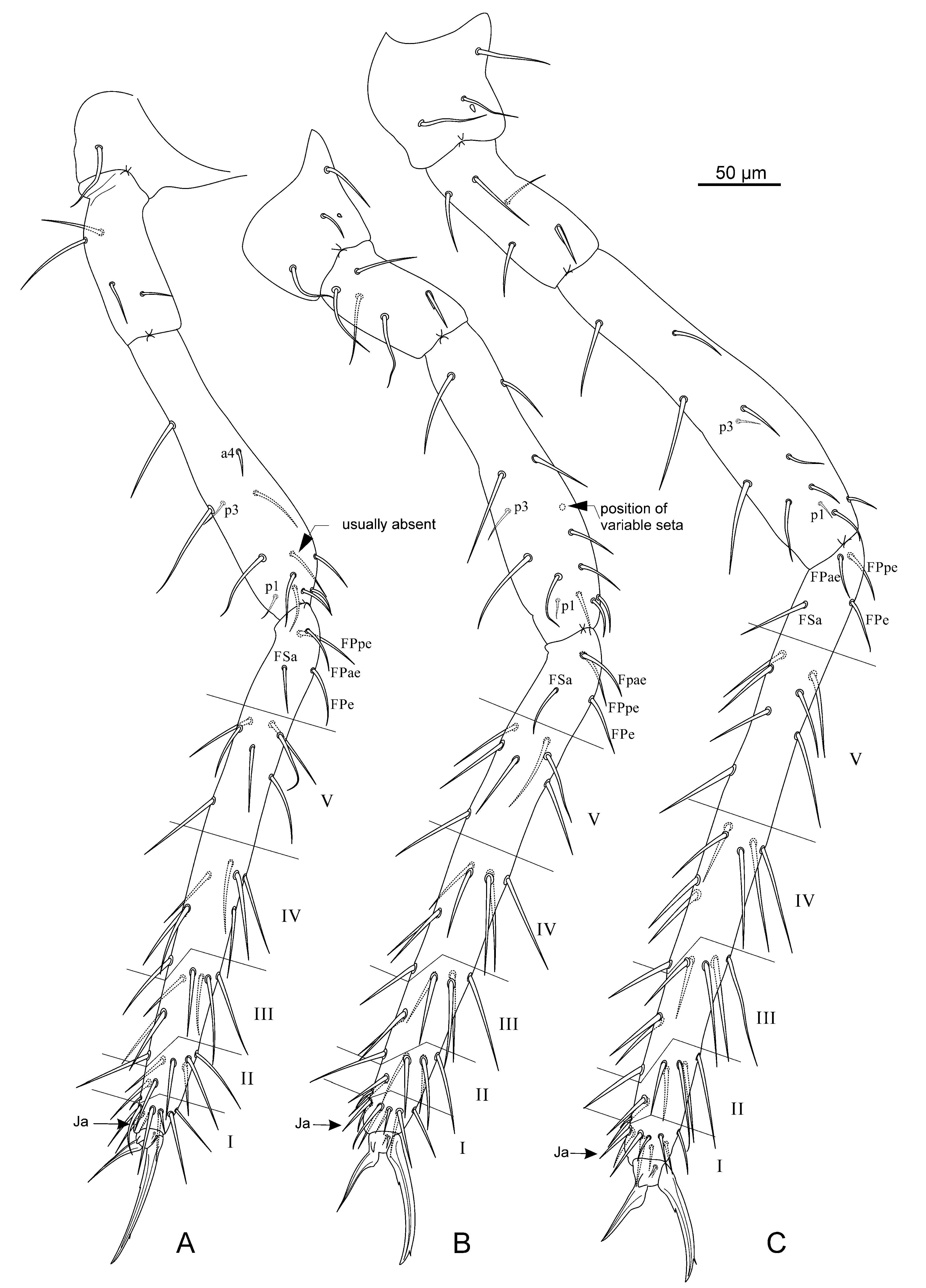 Diversity 14 00678 g008 Diversity 14 00678 g008