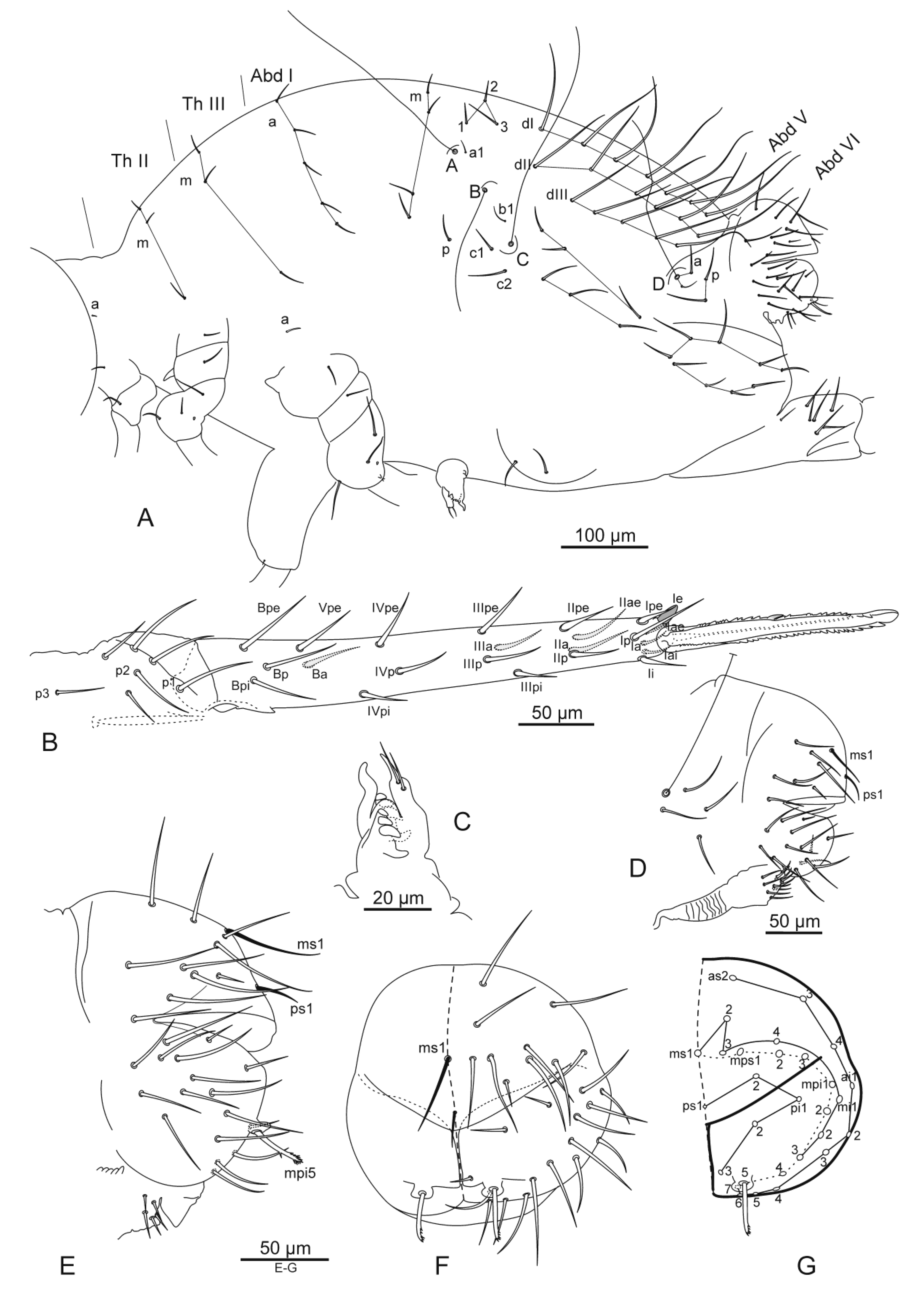 Diversity 14 00678 g009 Diversity 14 00678 g009