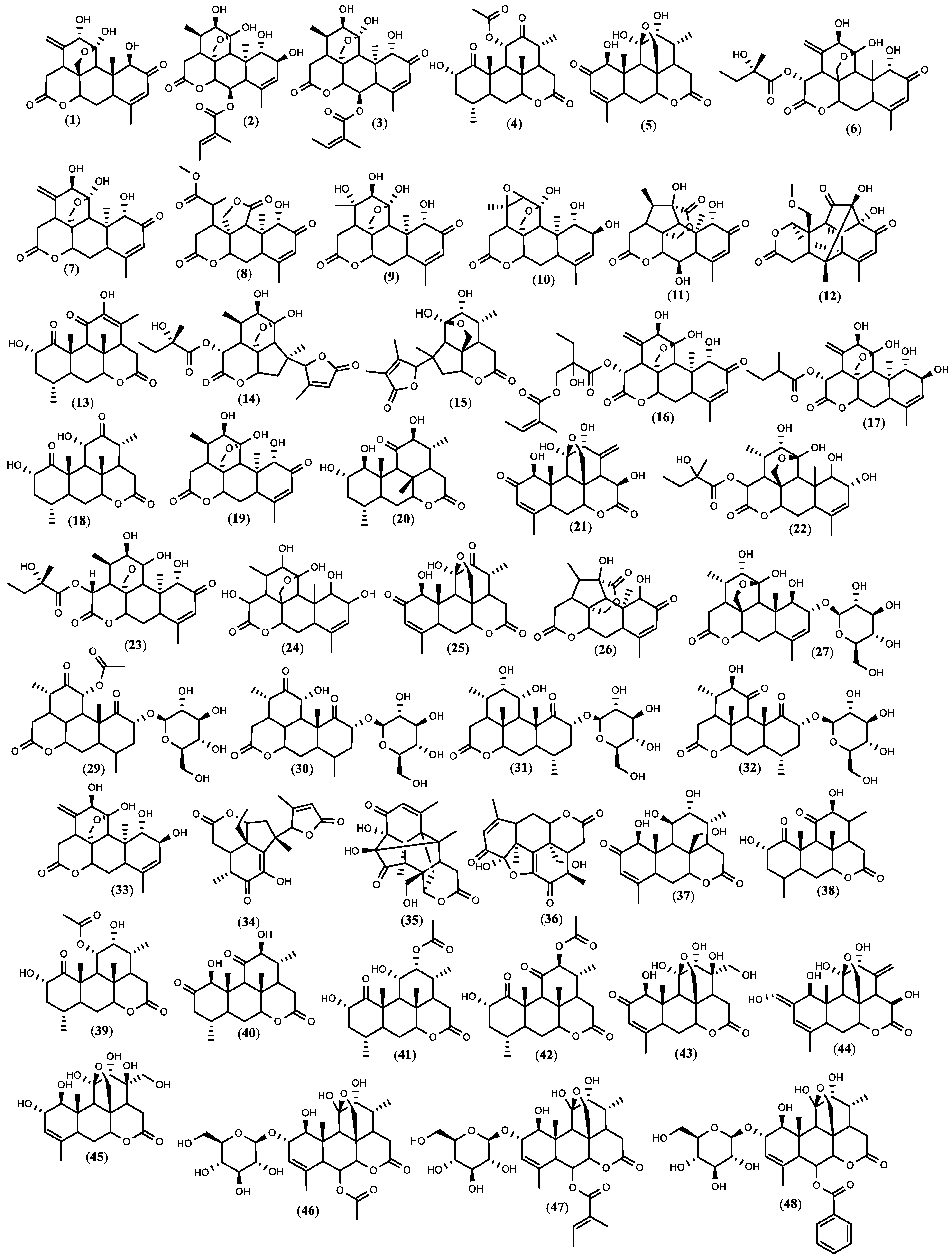 Diversity 14 00680 g001a Diversity 14 00680 g001a