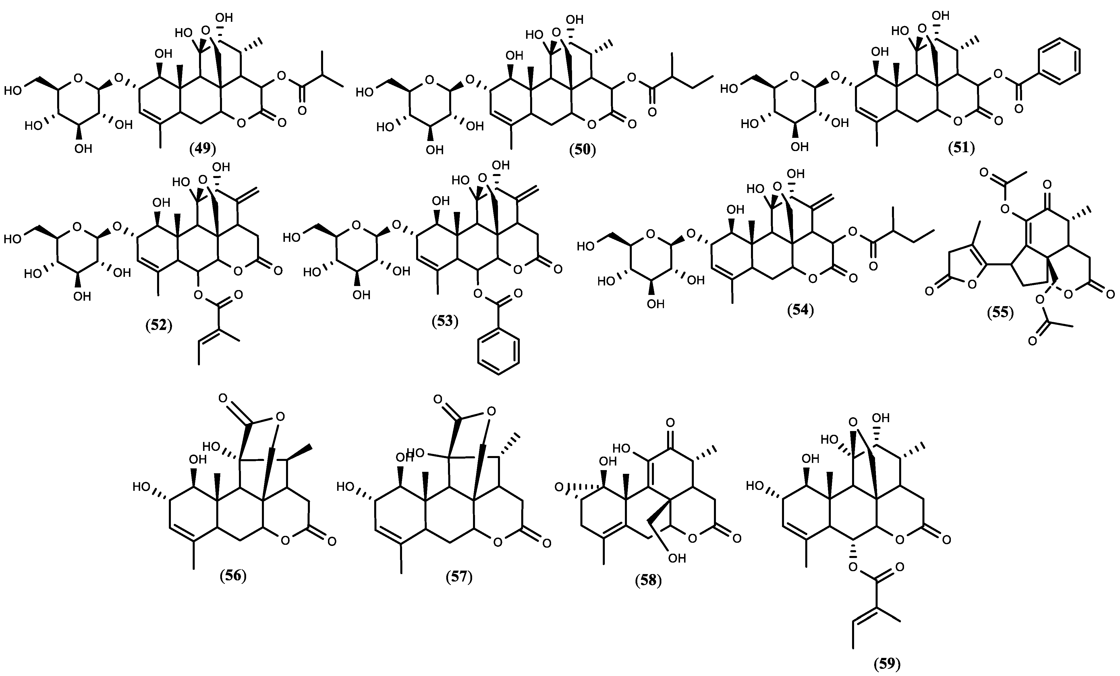 Diversity 14 00680 g001b Diversity 14 00680 g001b