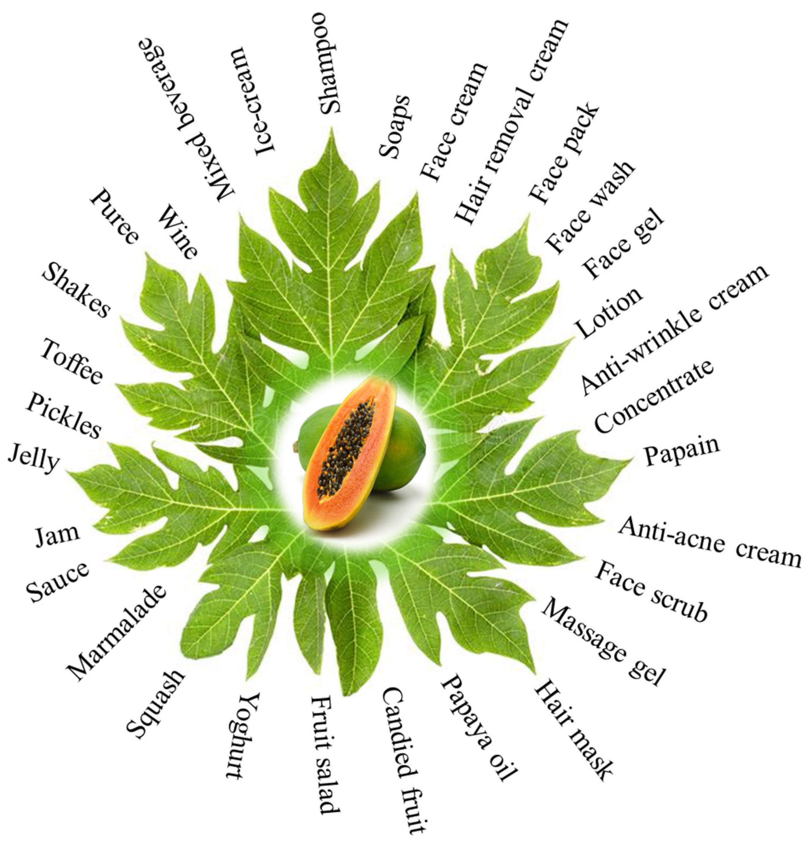 Diversity 14 00683 g004