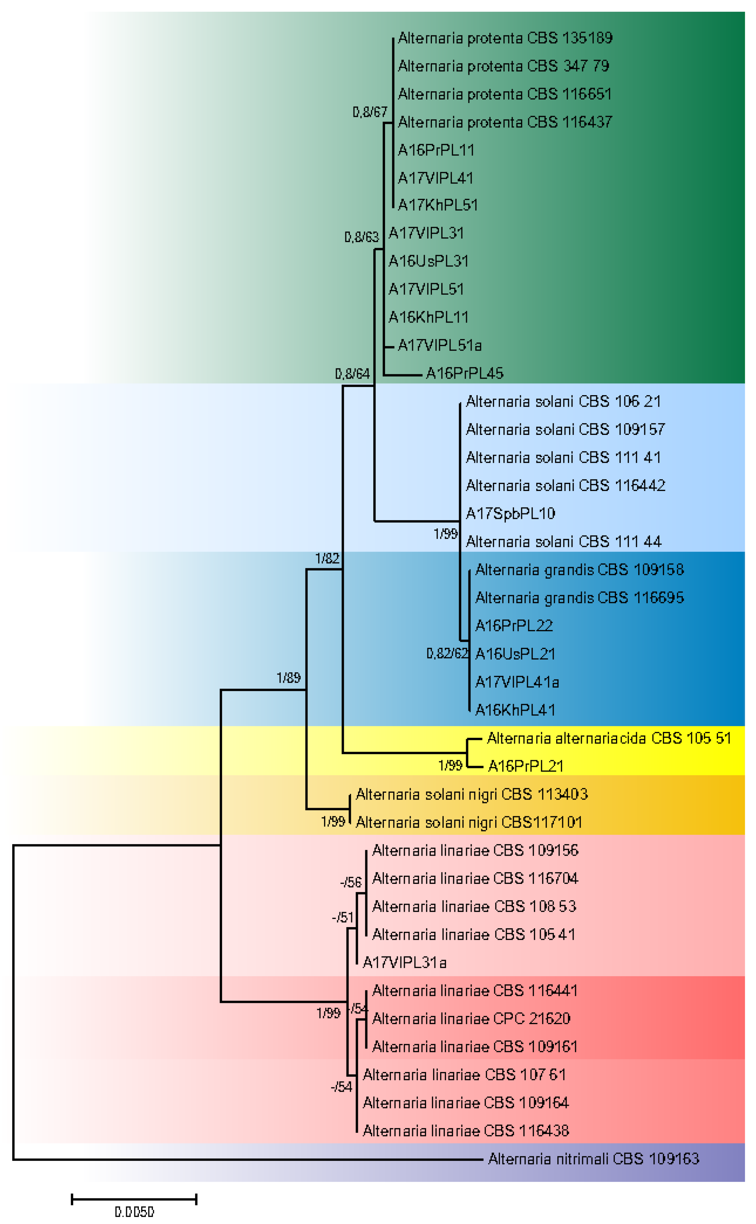 Diversity 14 00685 g002
