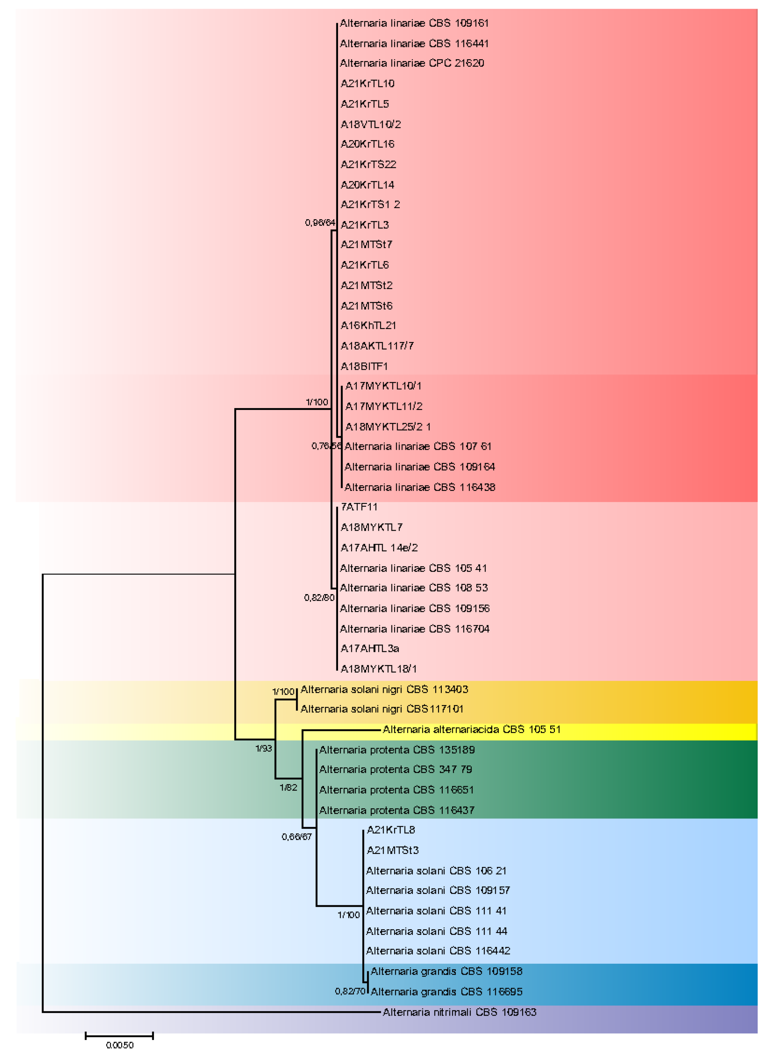 Diversity 14 00685 g003