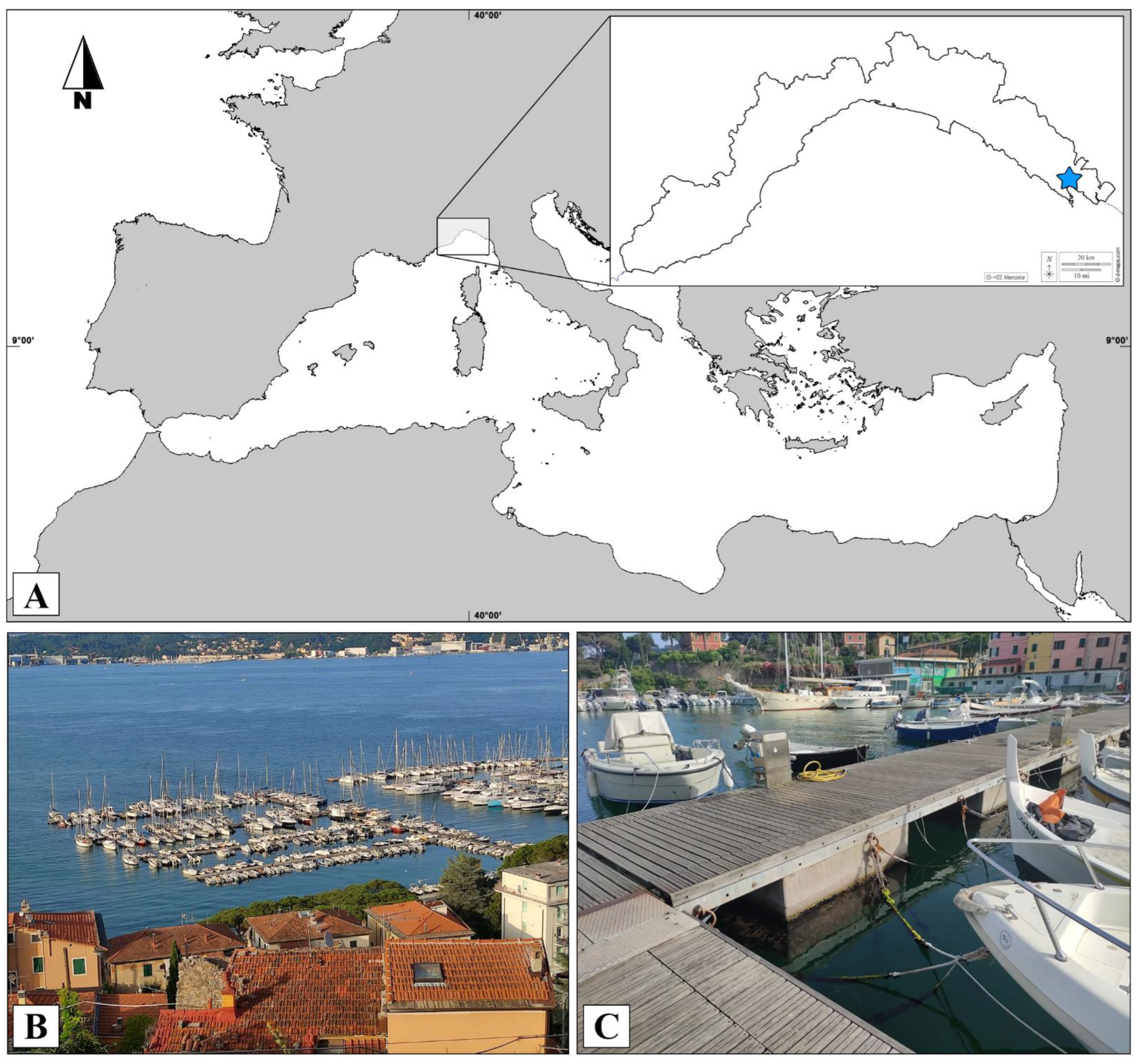 Diversity 14 00687 g001