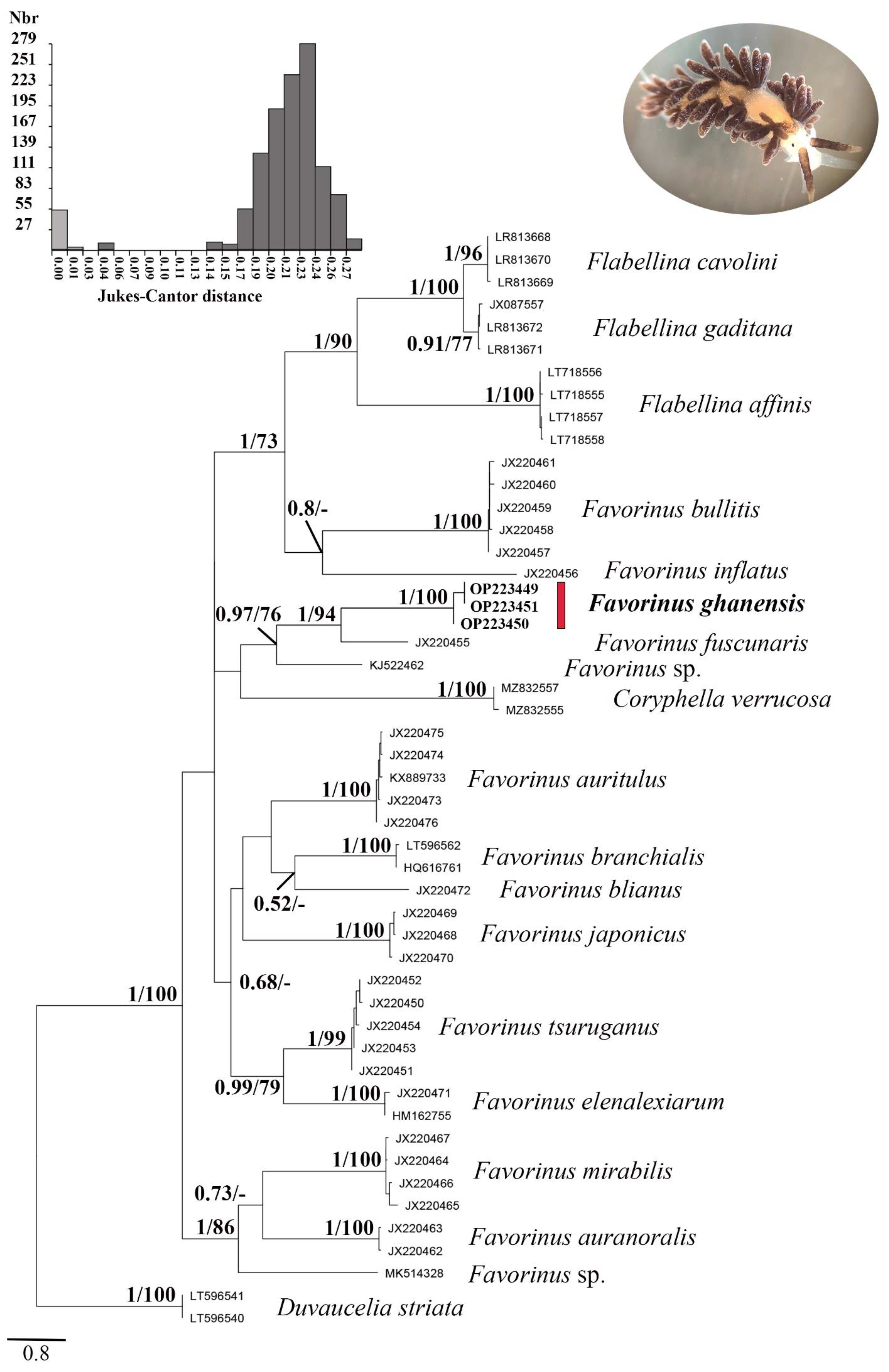 Diversity 14 00687 g003