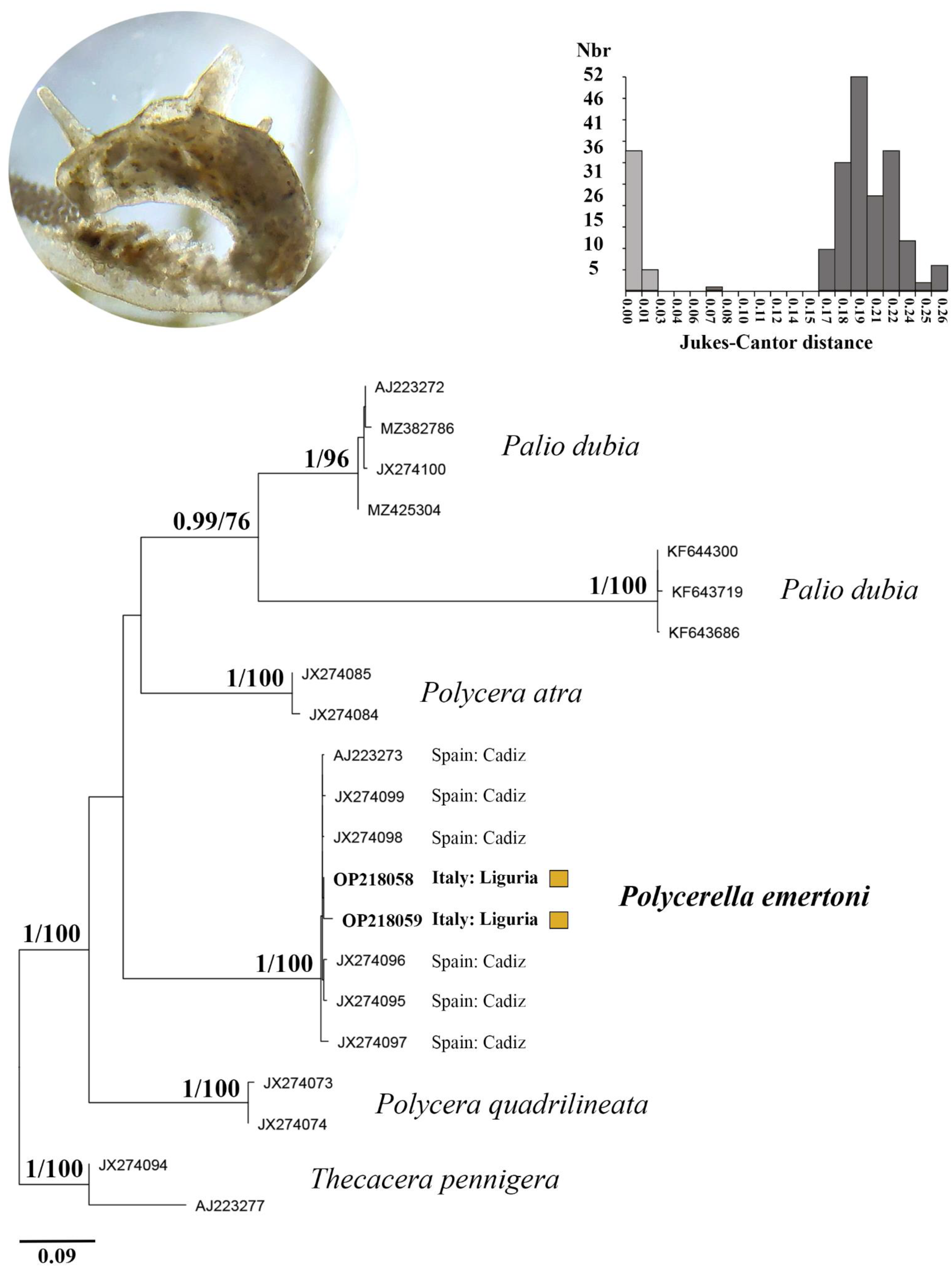 Diversity 14 00687 g004
