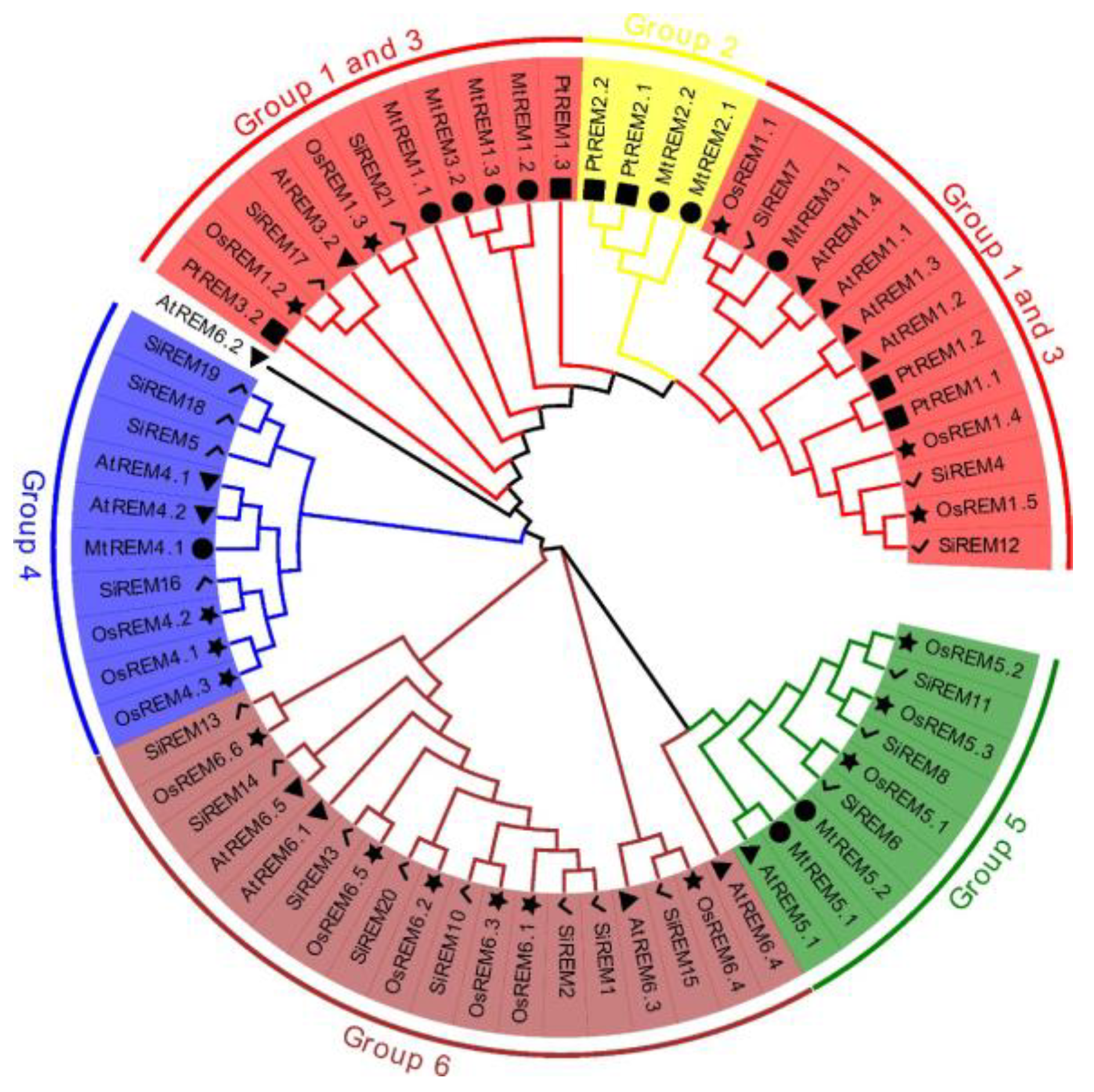 Diversity 14 00711 g001 Diversity 14 00711 g001