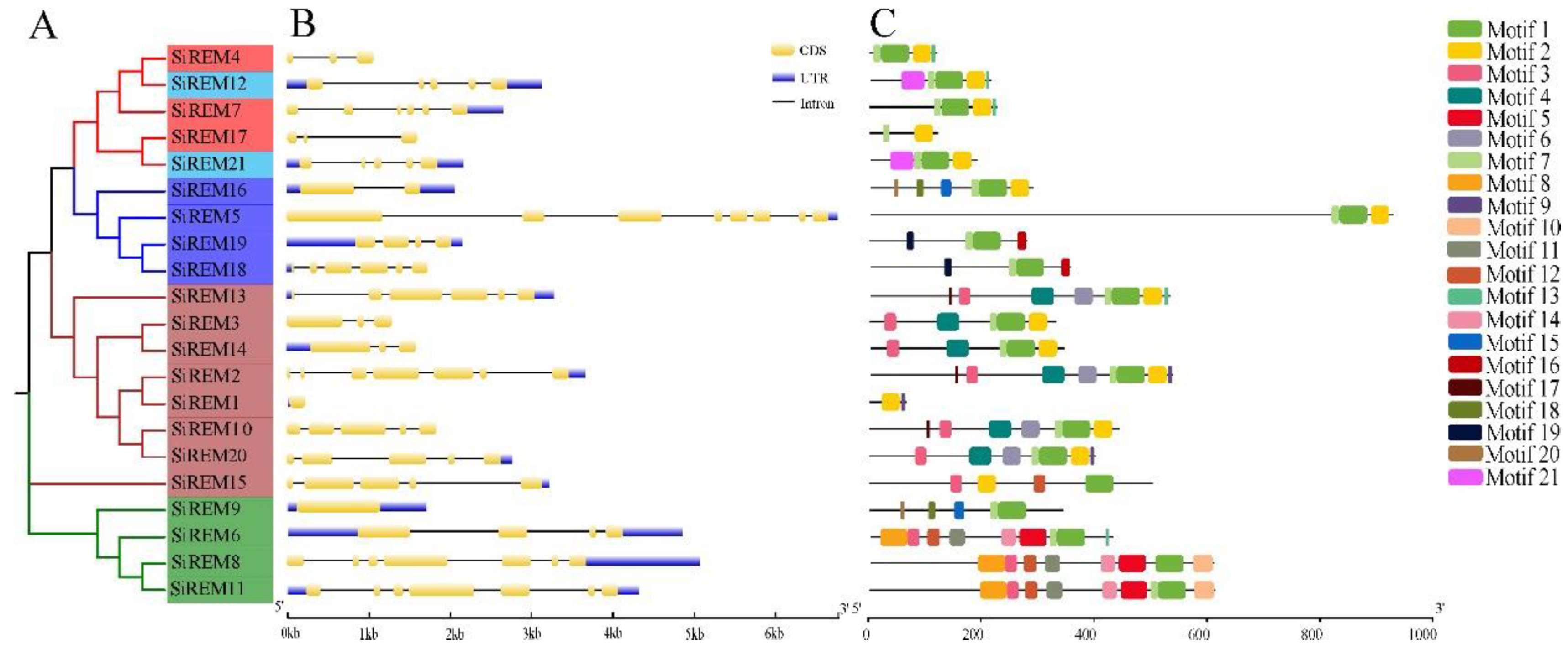 Diversity 14 00711 g002 Diversity 14 00711 g002
