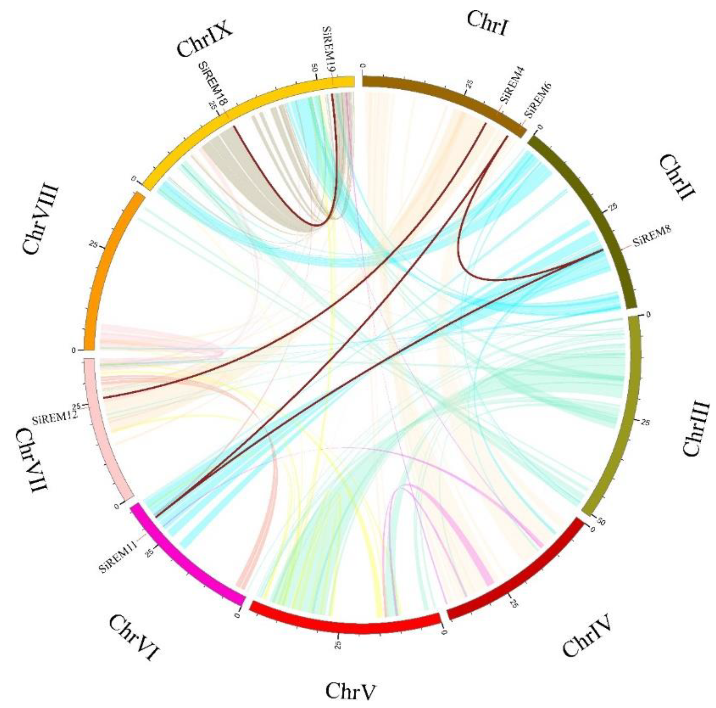 Diversity 14 00711 g003 Diversity 14 00711 g003
