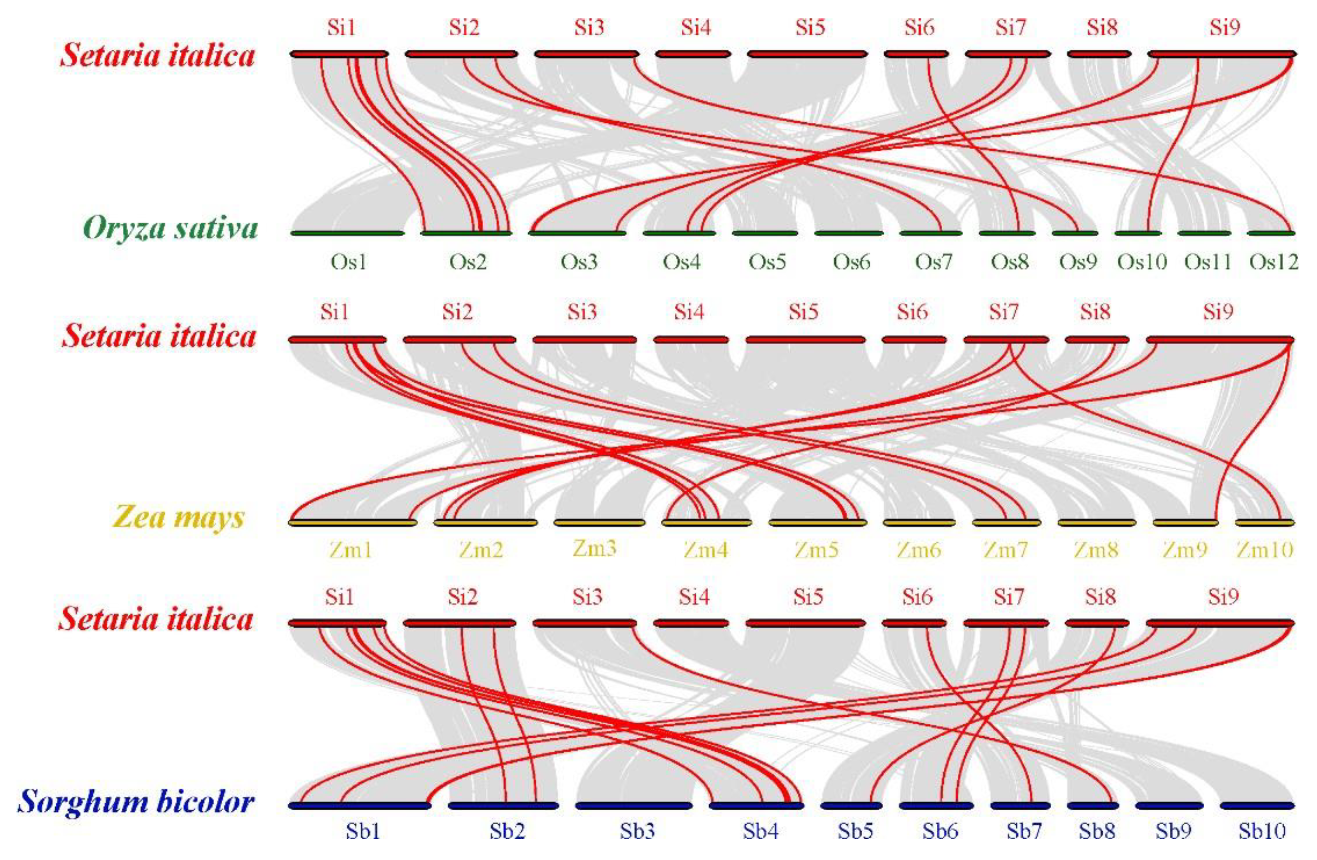 Diversity 14 00711 g004 Diversity 14 00711 g004