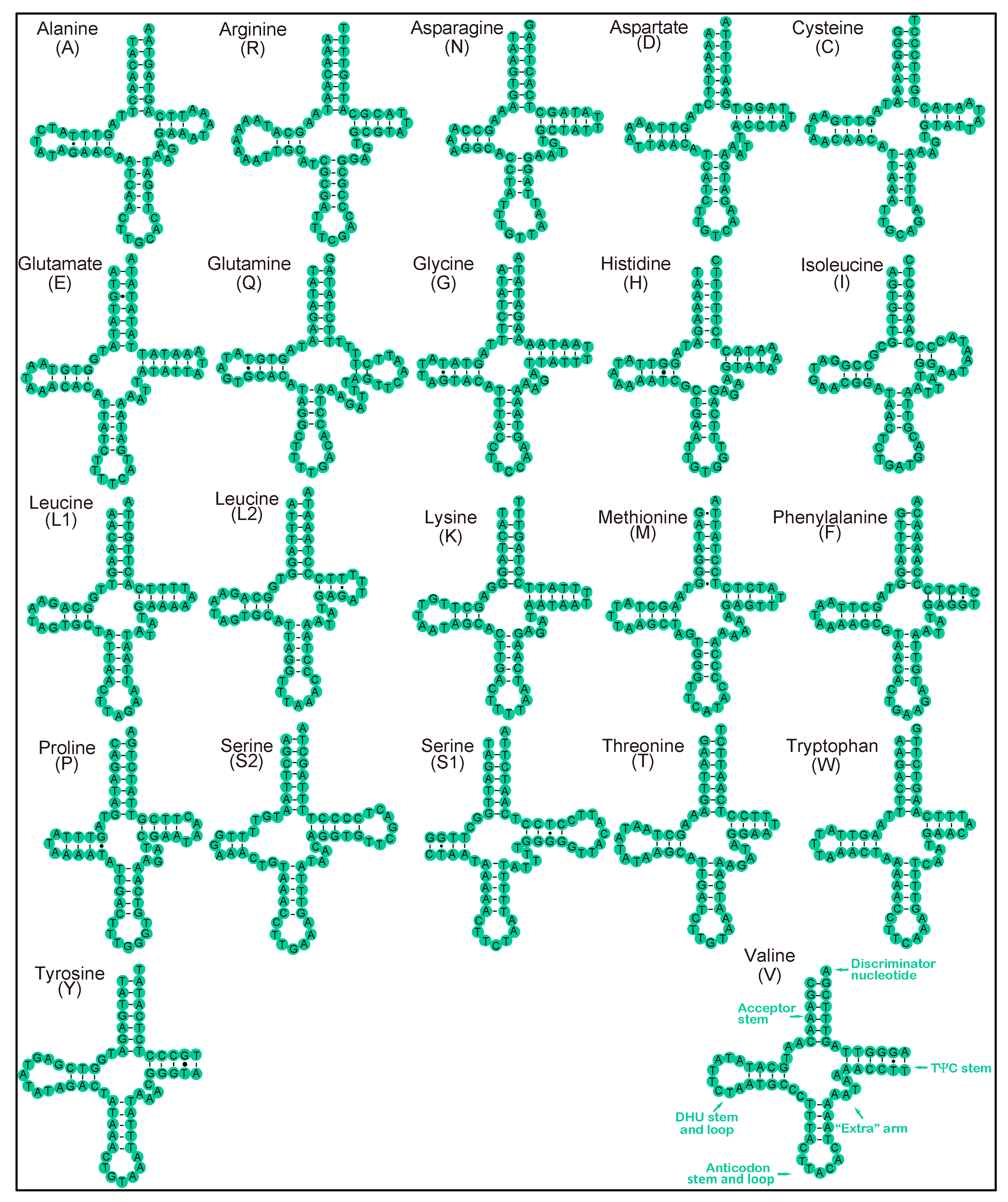 Diversity 14 00714 g005