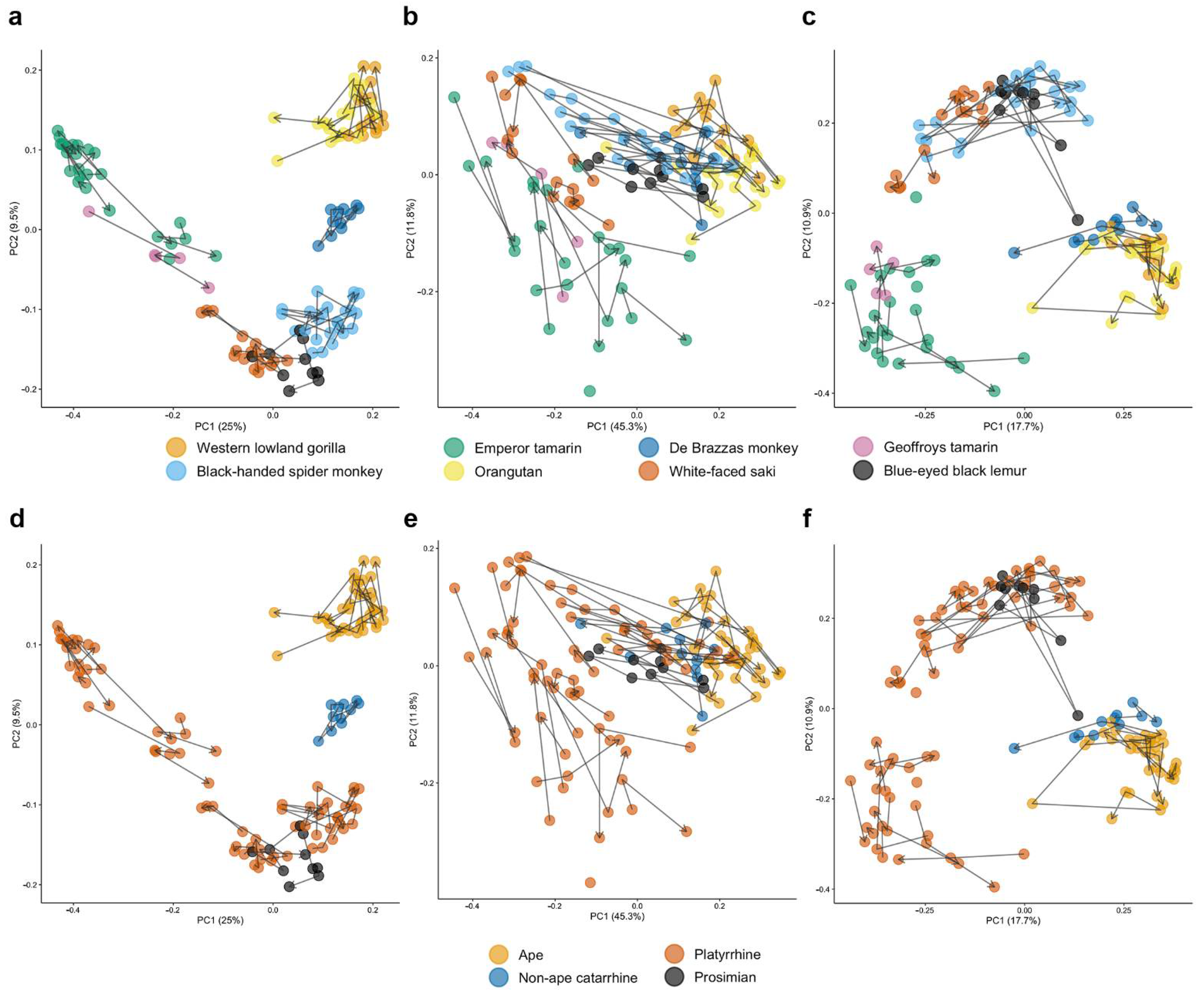 Diversity 14 00715 g001