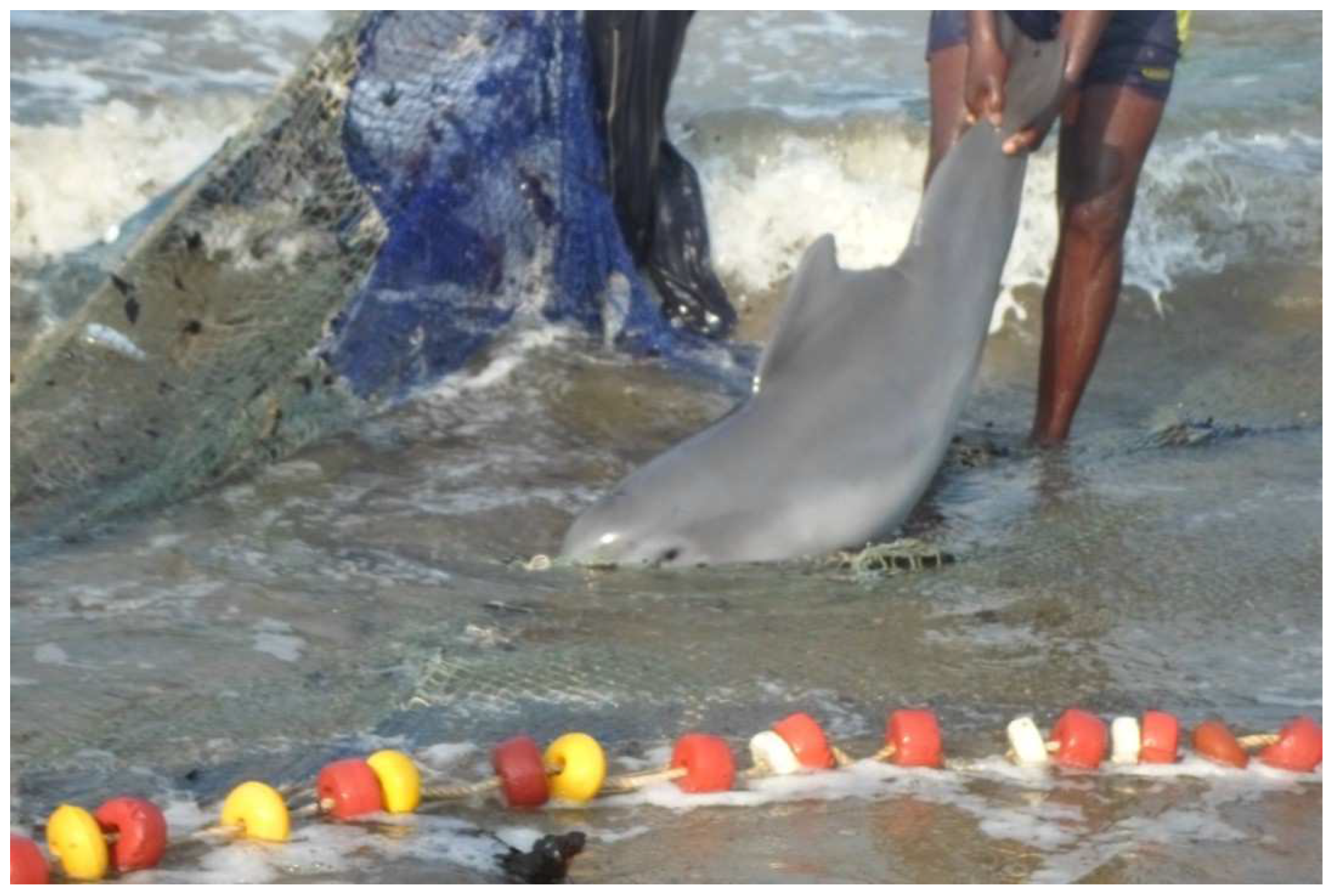 Diversity 14 00716 g003 Diversity 14 00716 g003