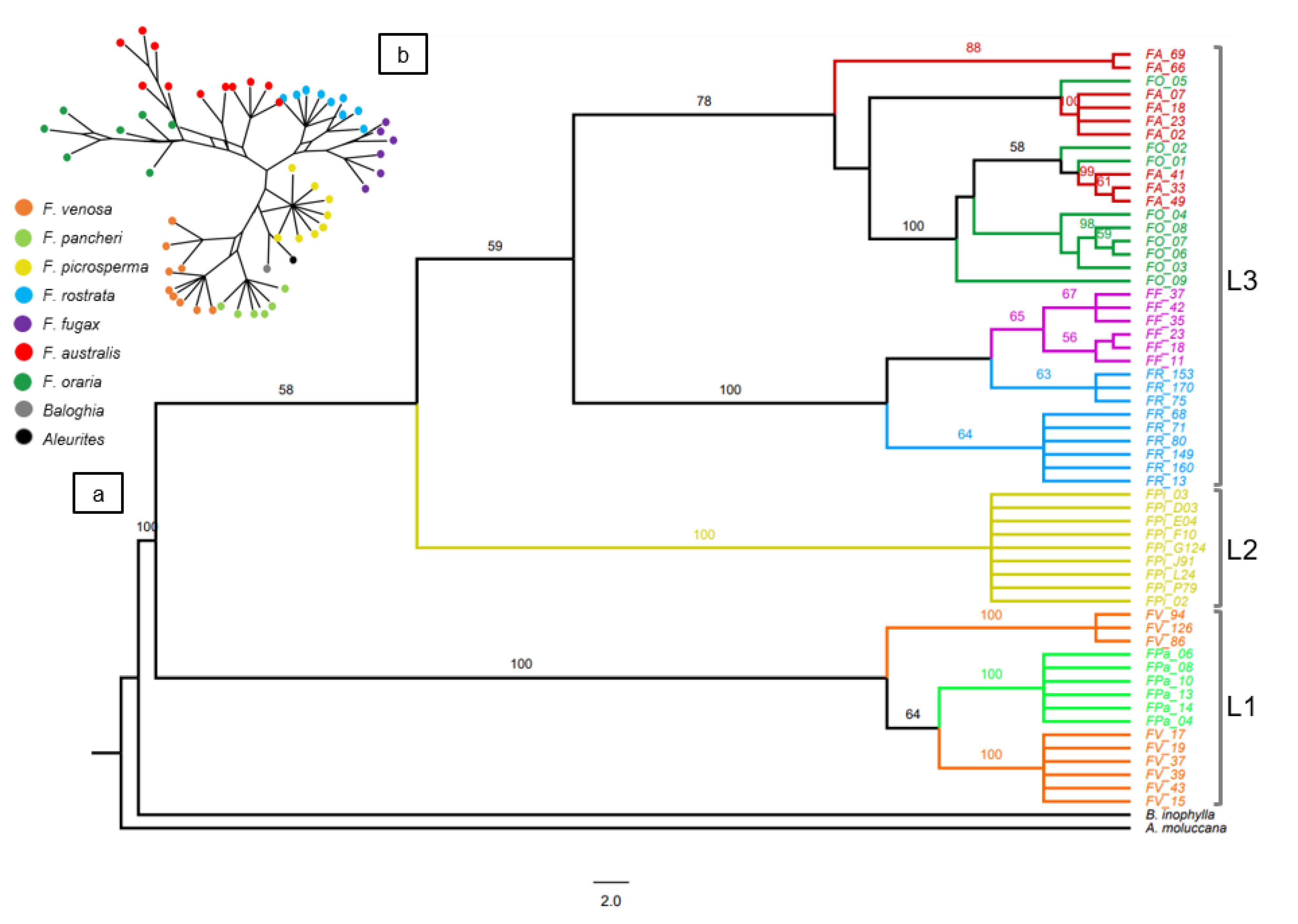 Diversity 14 00725 g002