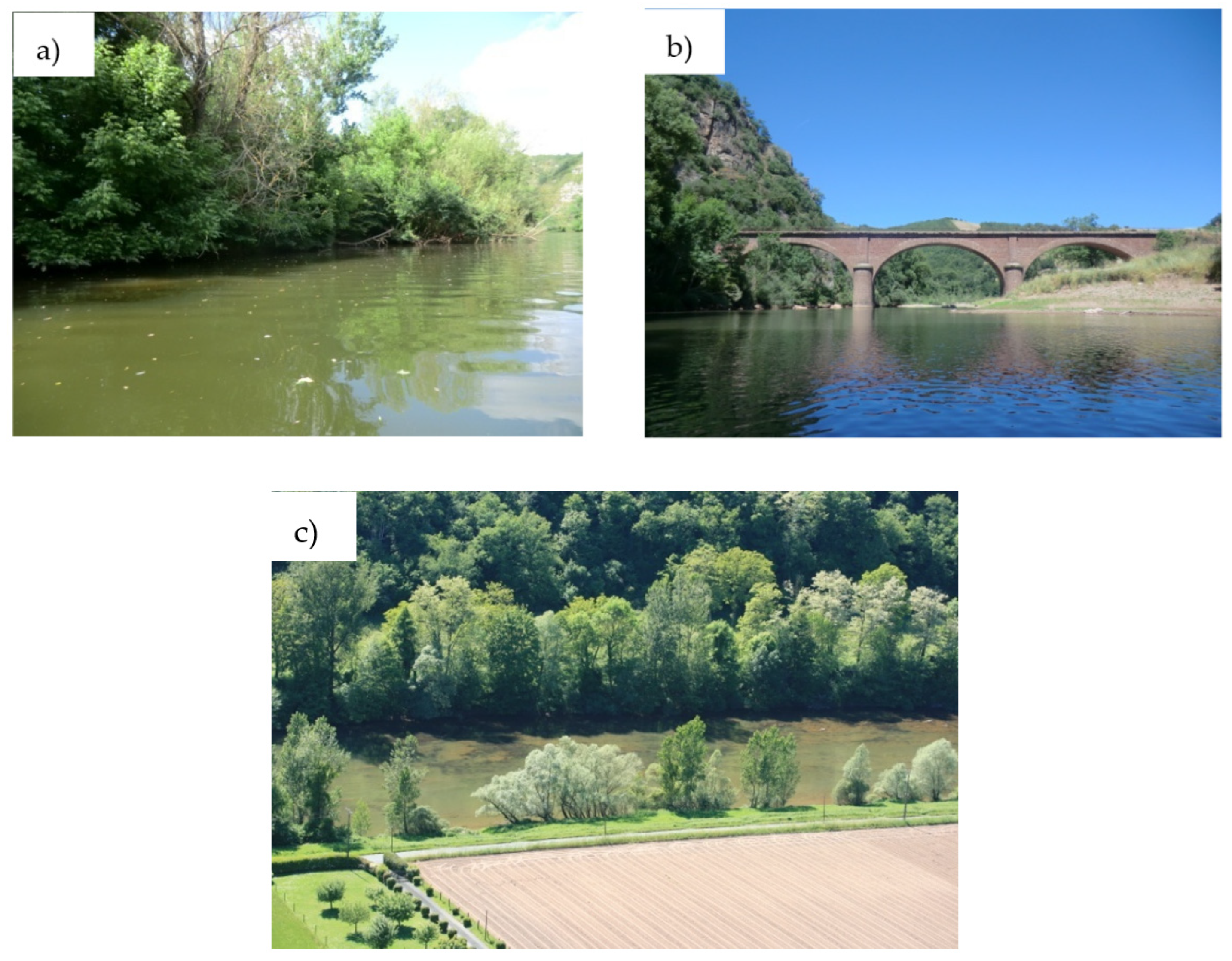 Diversity 14 00728 g002