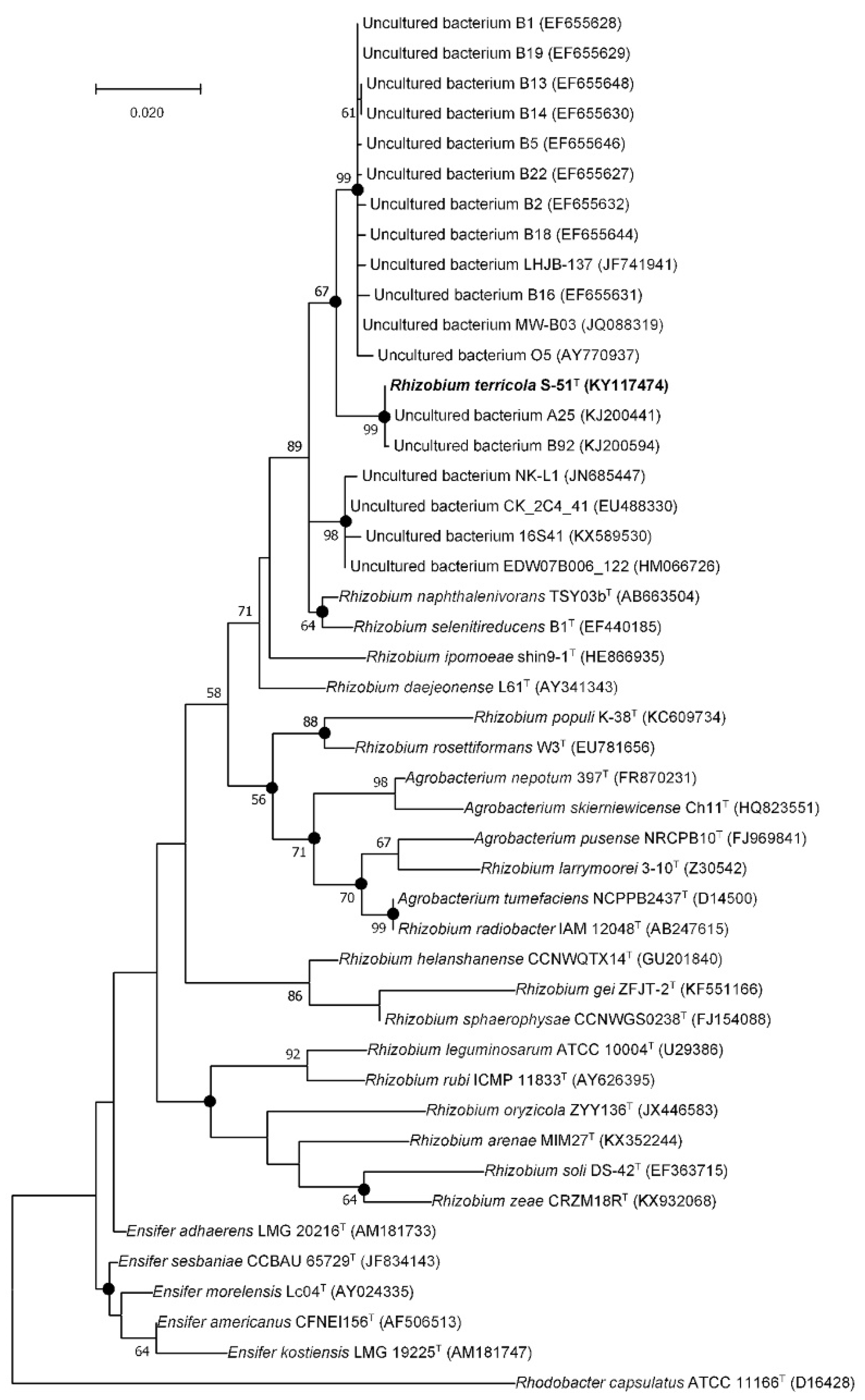 Diversity 14 00733 g001 Diversity 14 00733 g001