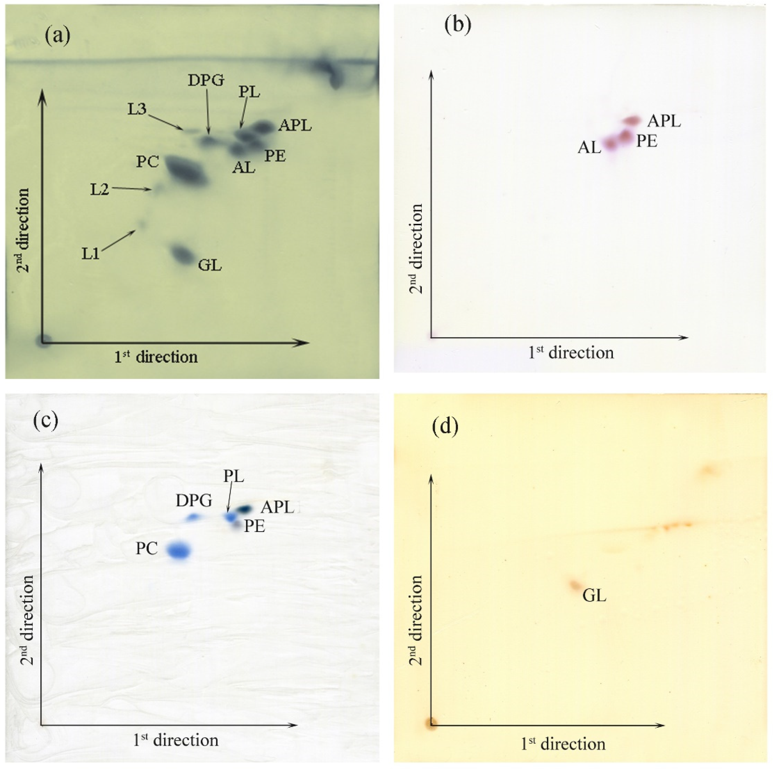 Diversity 14 00733 g006 Diversity 14 00733 g006