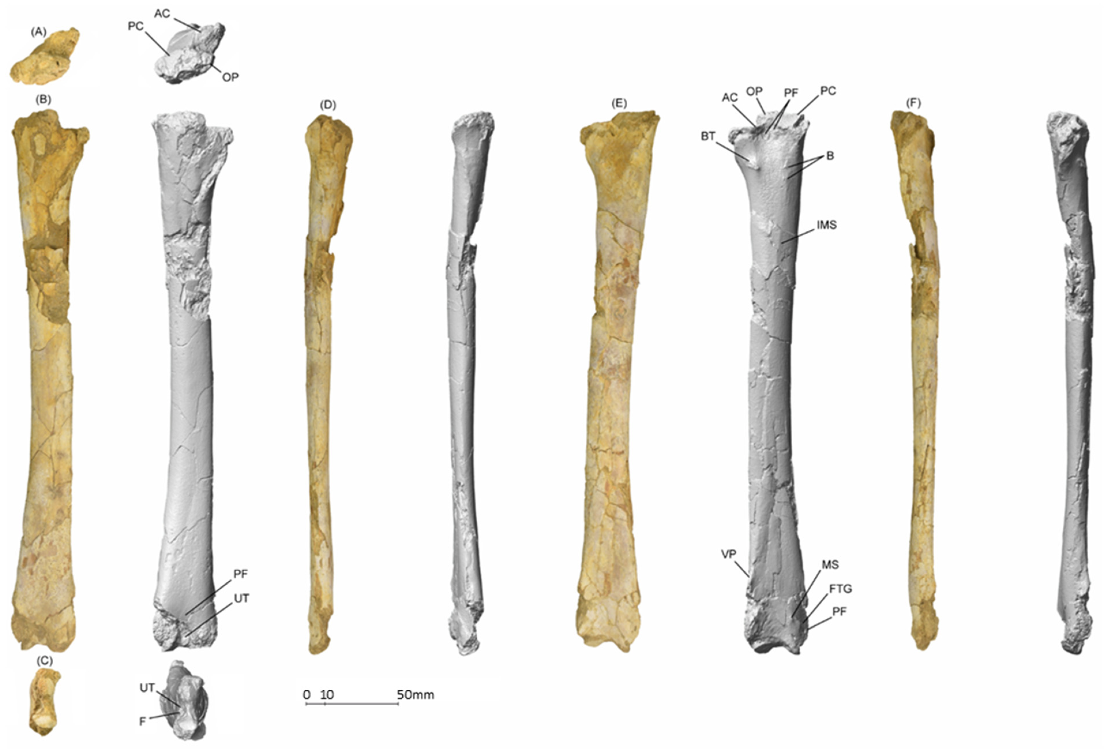 Diversity 14 00741 g004