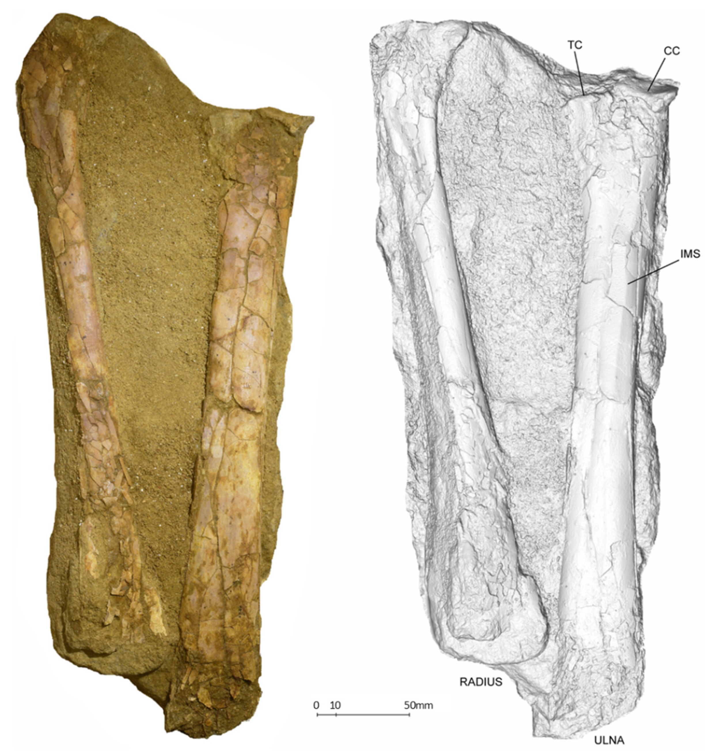 Diversity 14 00741 g005