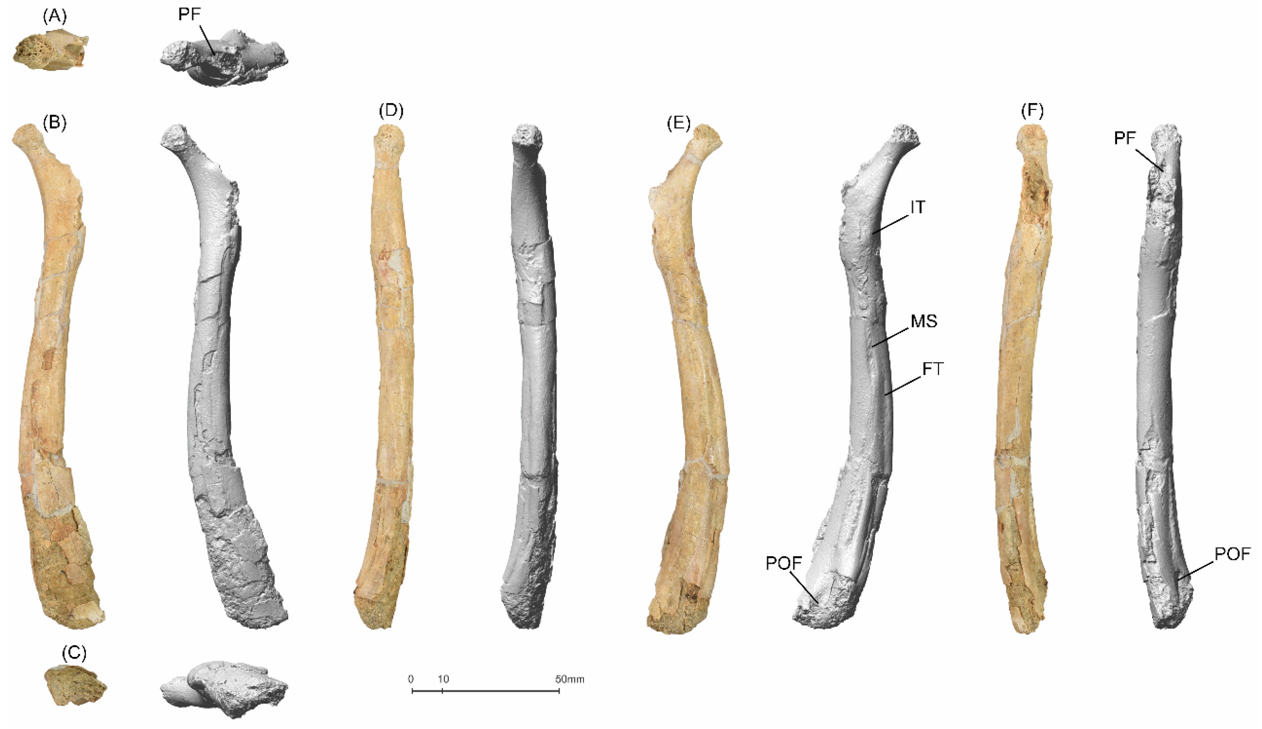 Diversity 14 00741 g006